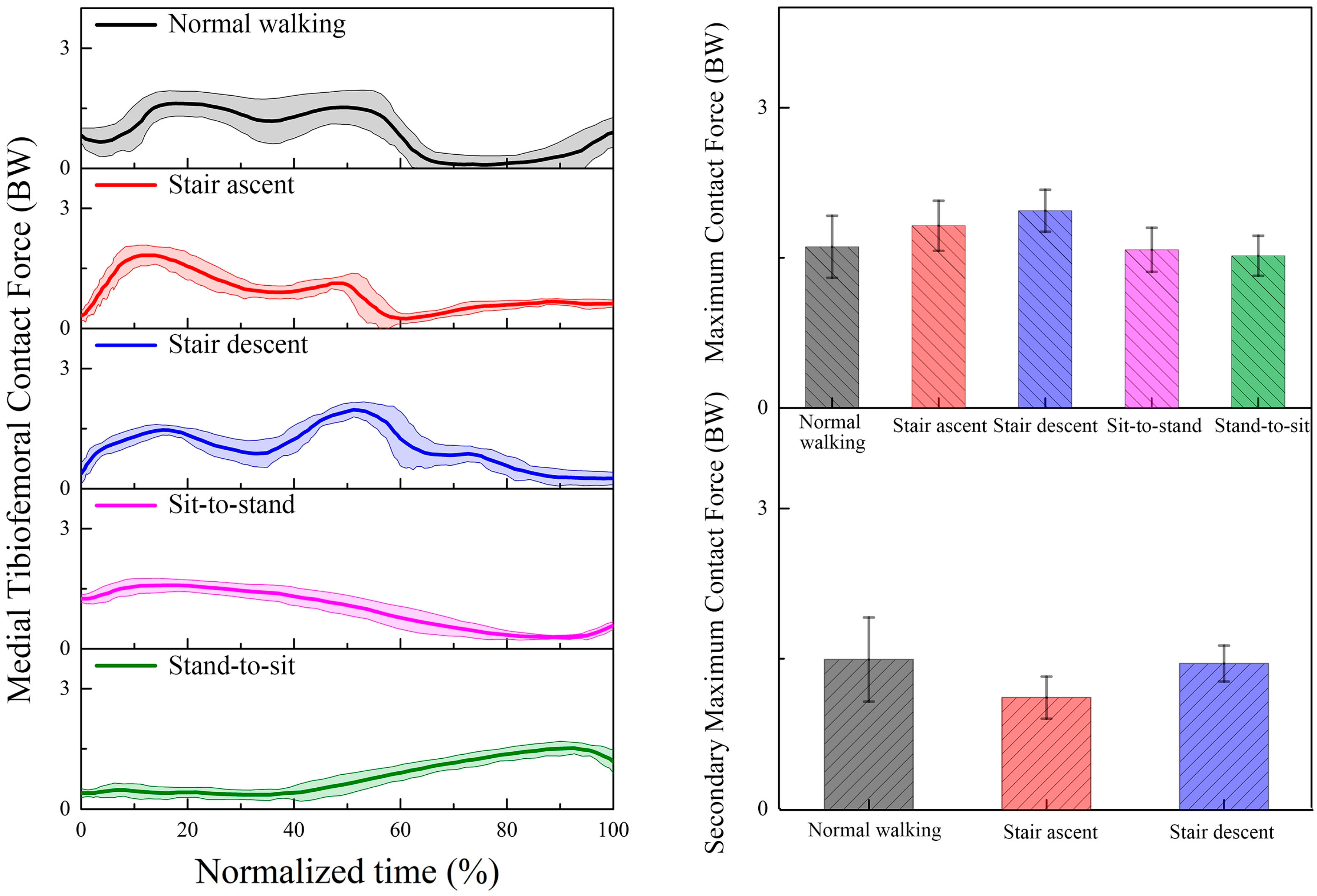 Bioengineering 12 00153 g006