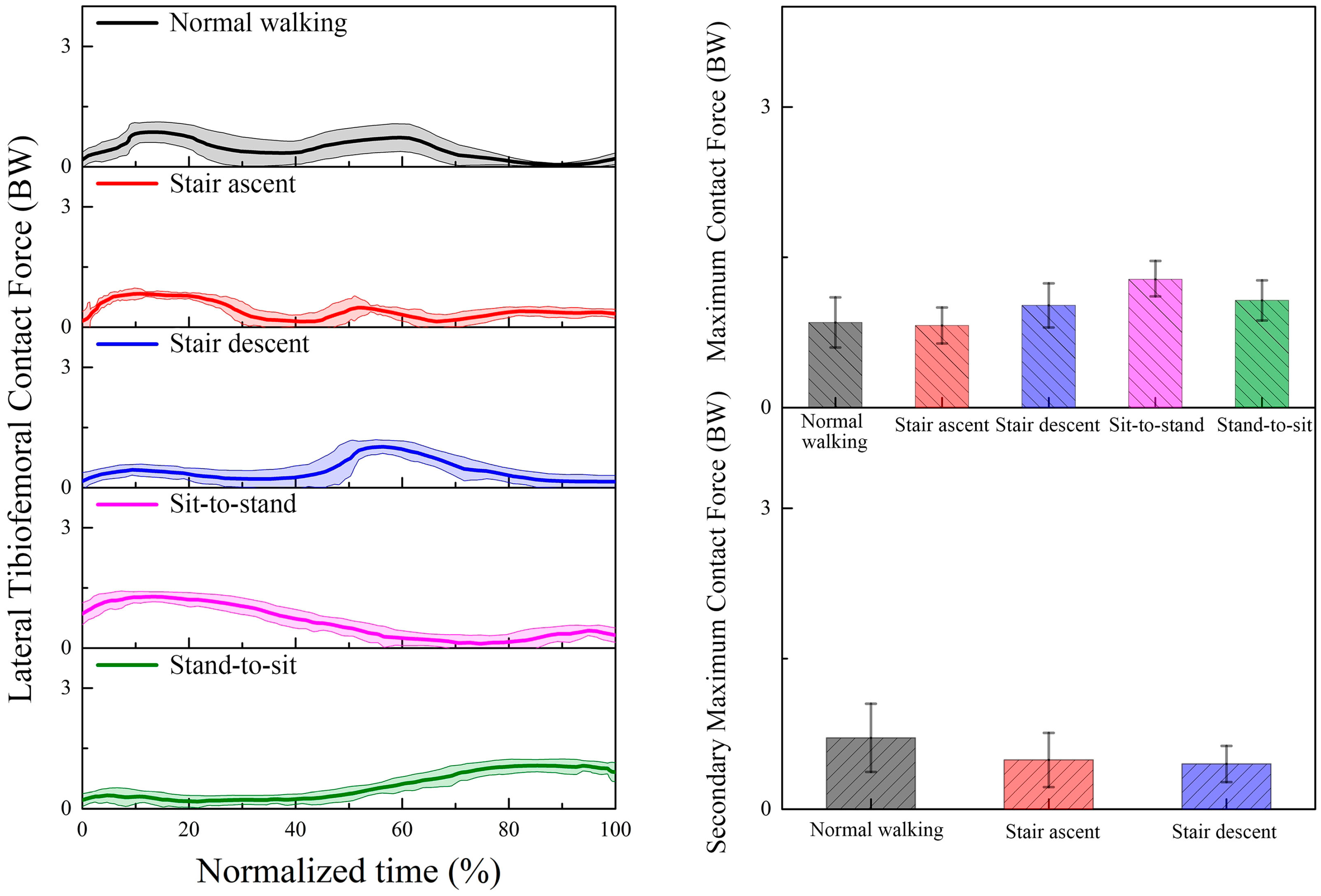 Bioengineering 12 00153 g007