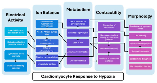 Bioengineering 12 00154 g005