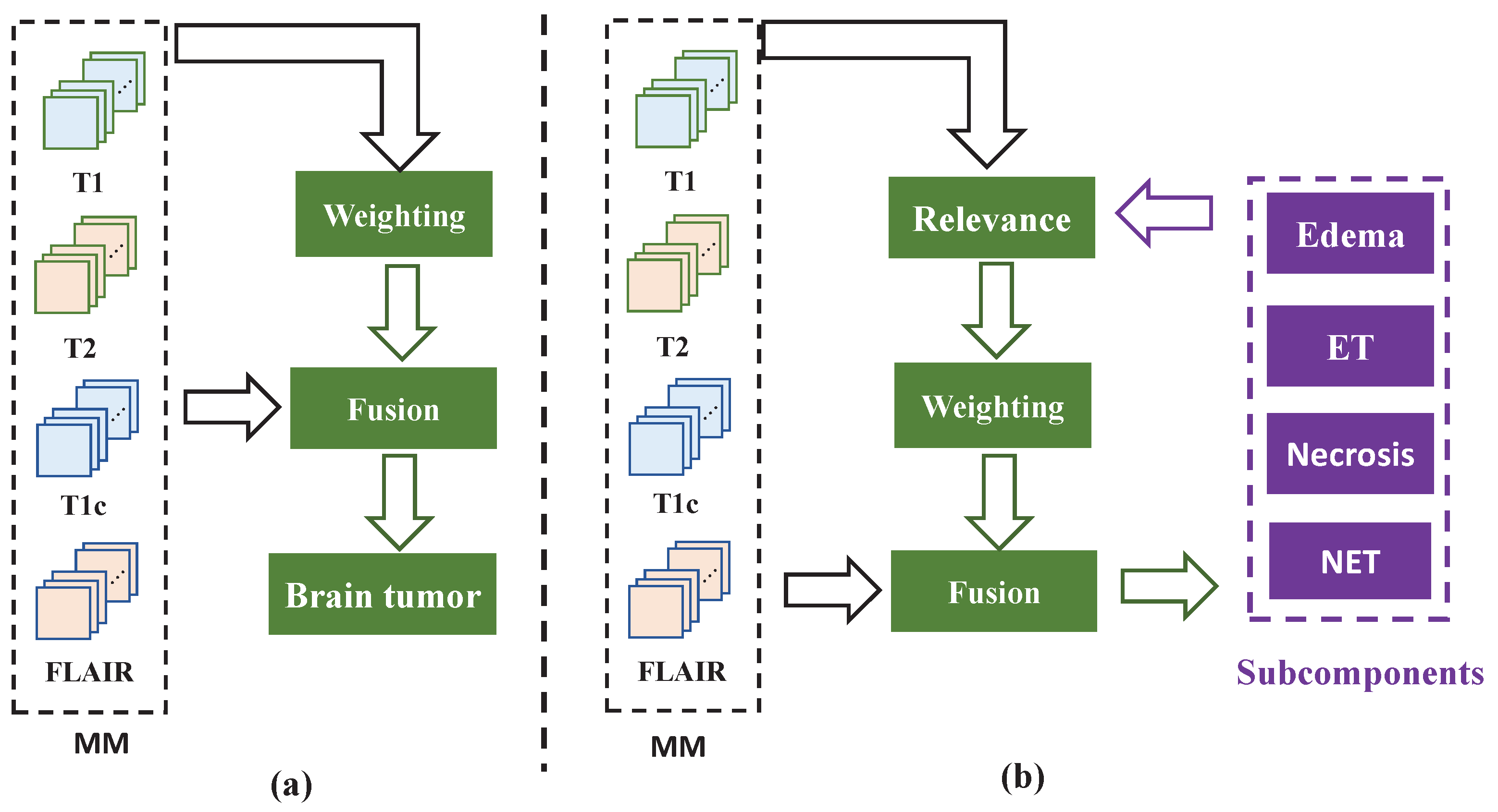 Bioengineering 12 00159 g001 Bioengineering 12 00159 g001