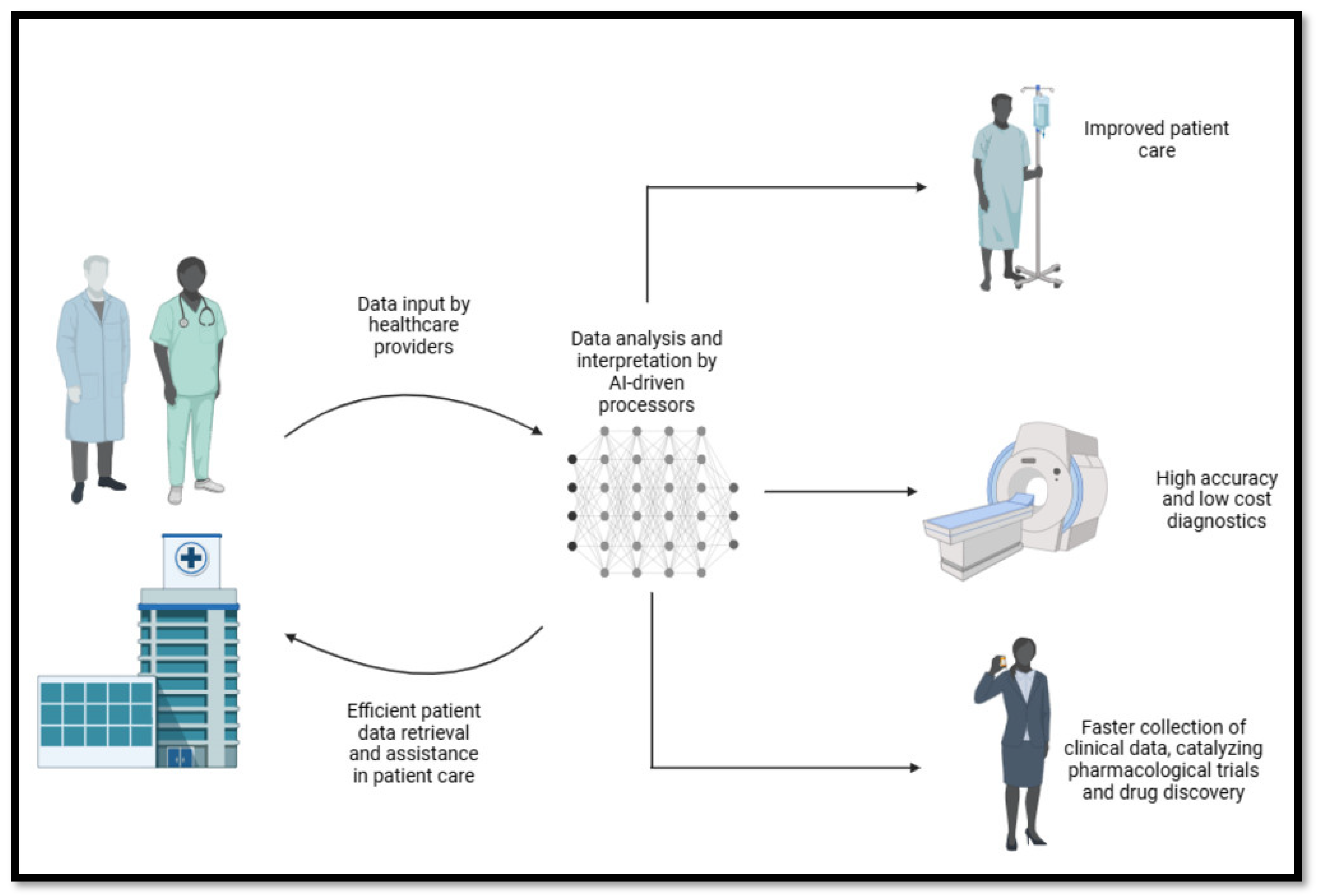 Bioengineering 12 00163 g003