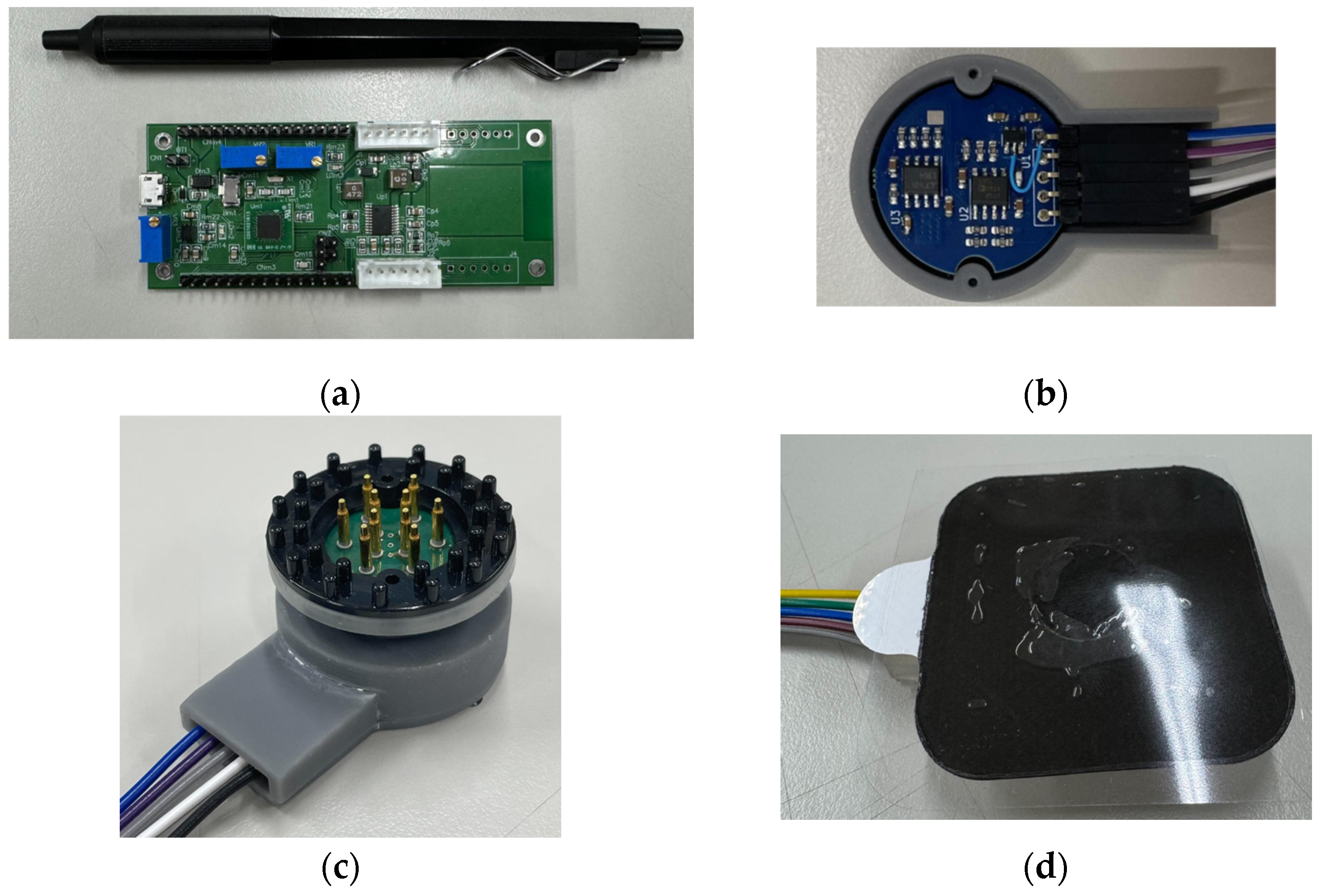 Bioengineering 12 00164 g002 Bioengineering 12 00164 g002
