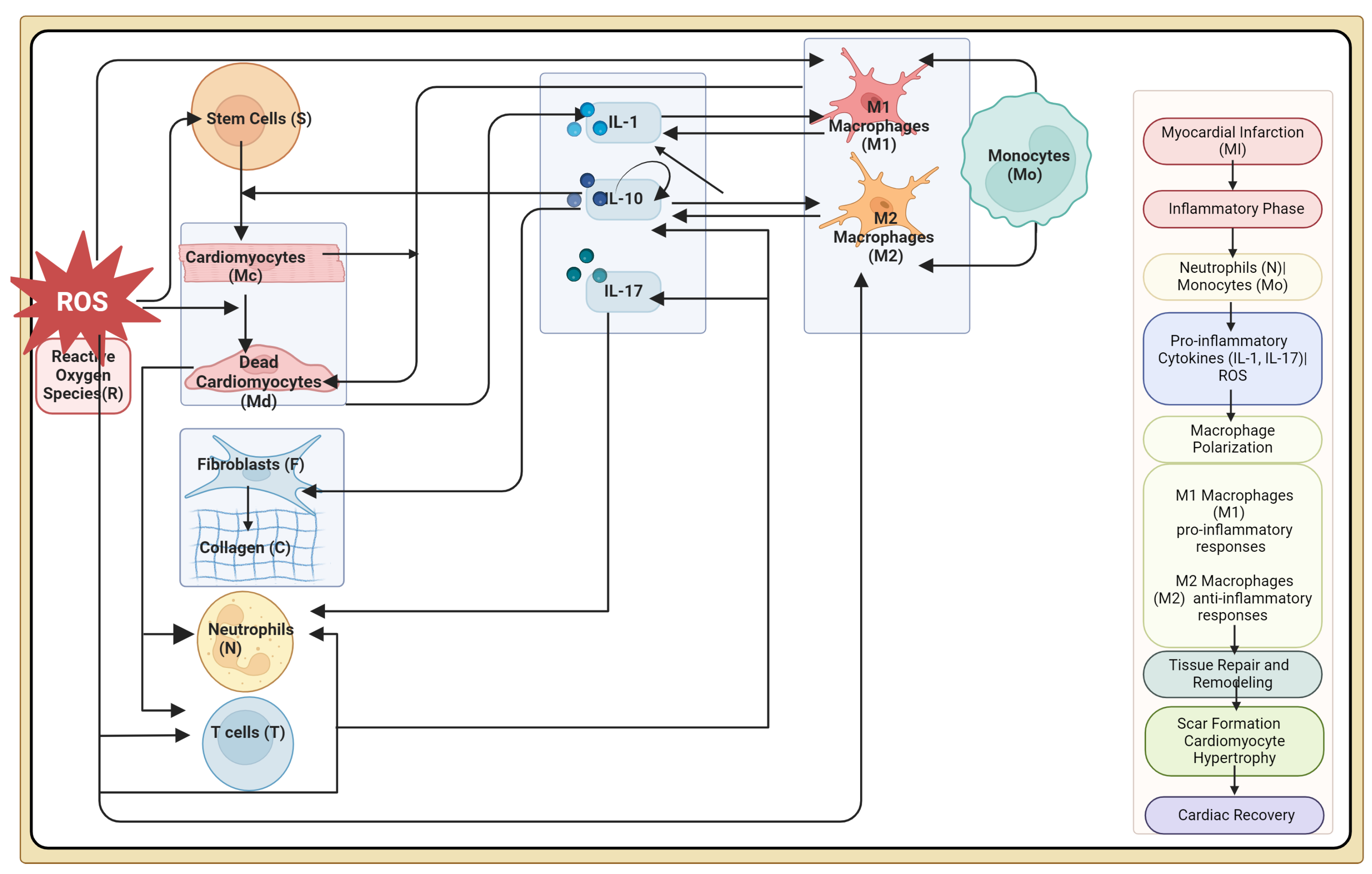 Bioengineering 12 00177 g001