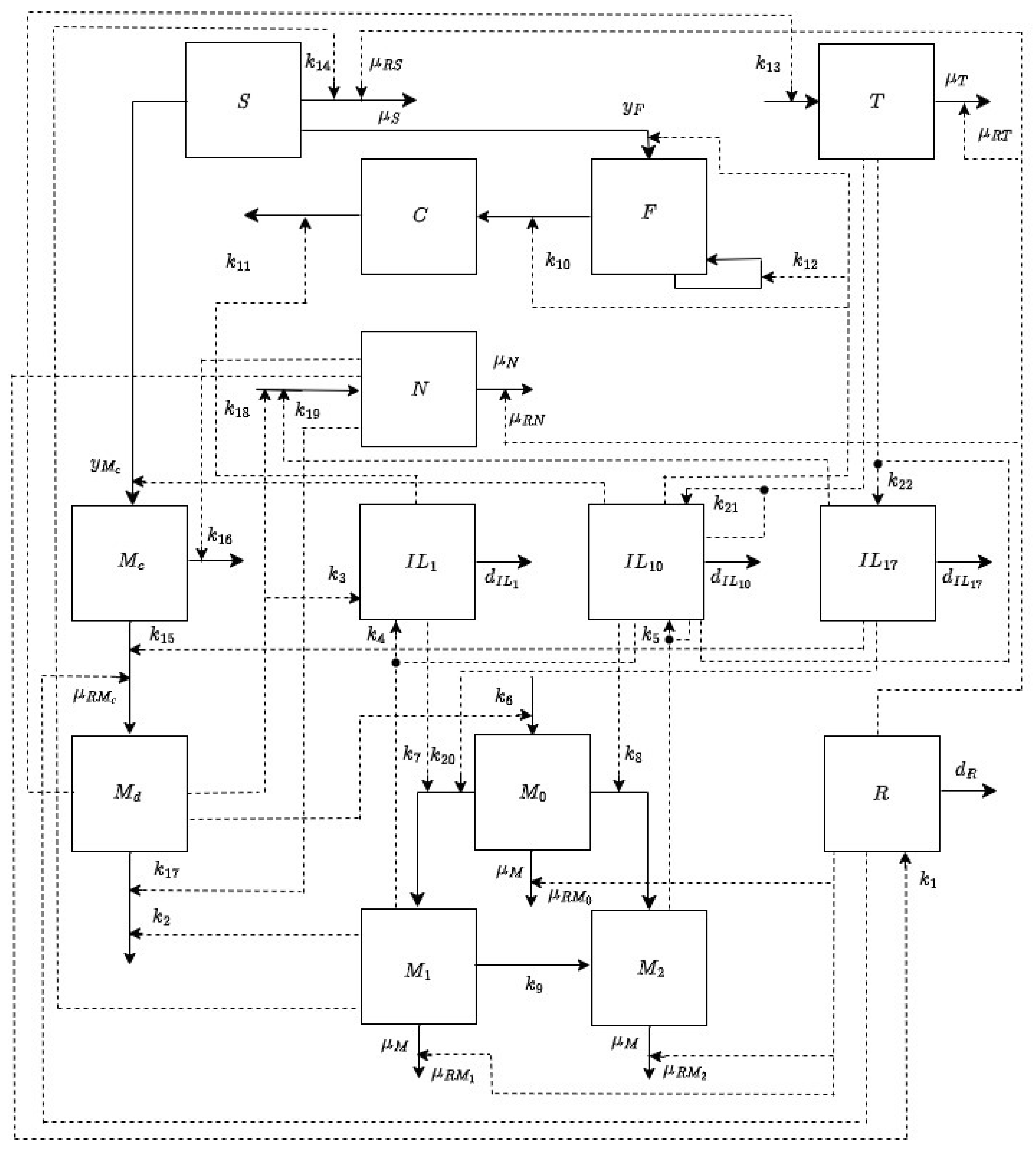 Bioengineering 12 00177 g002