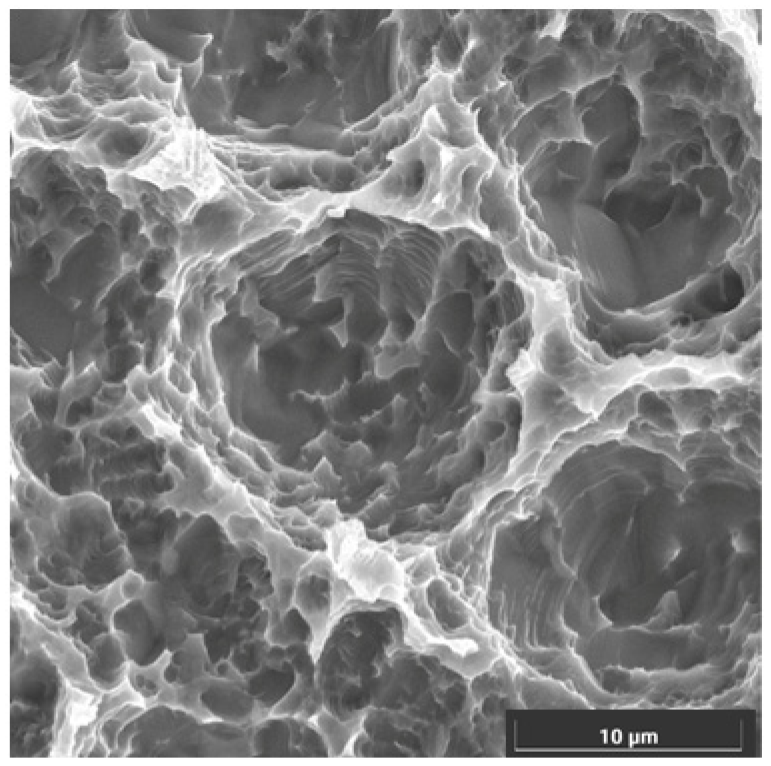 Bioengineering 12 00178 g002