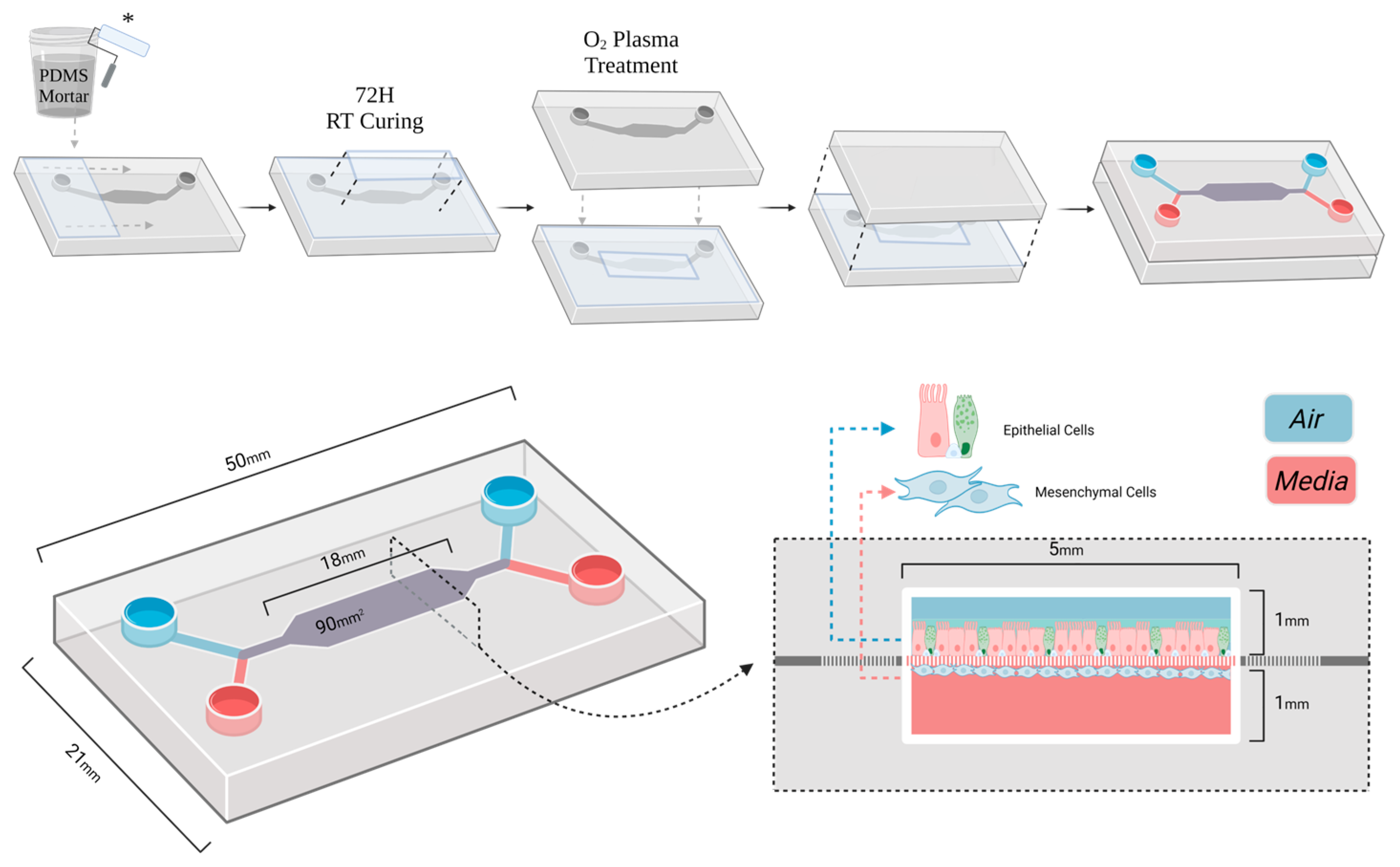 Bioengineering 12 00182 g001