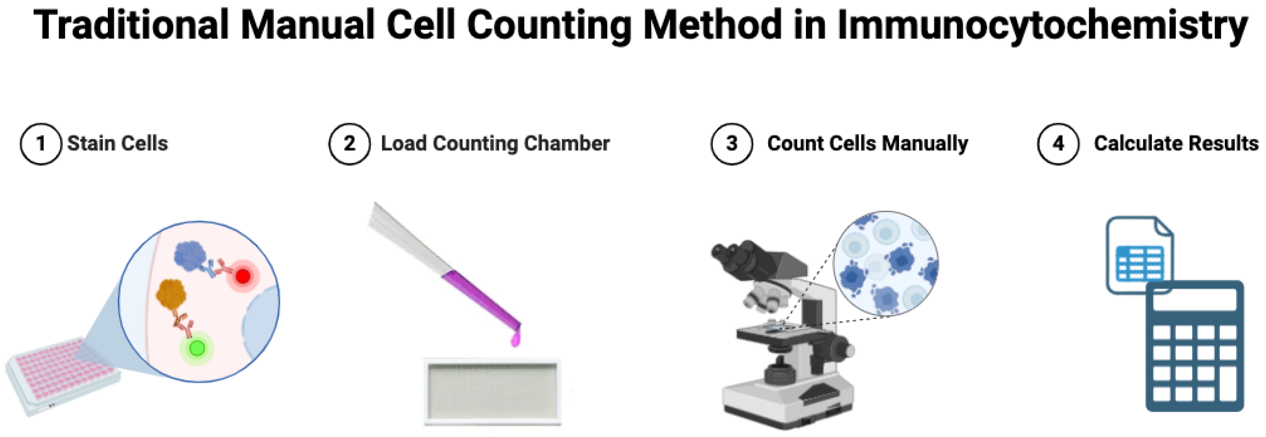 Bioengineering 12 00184 g001