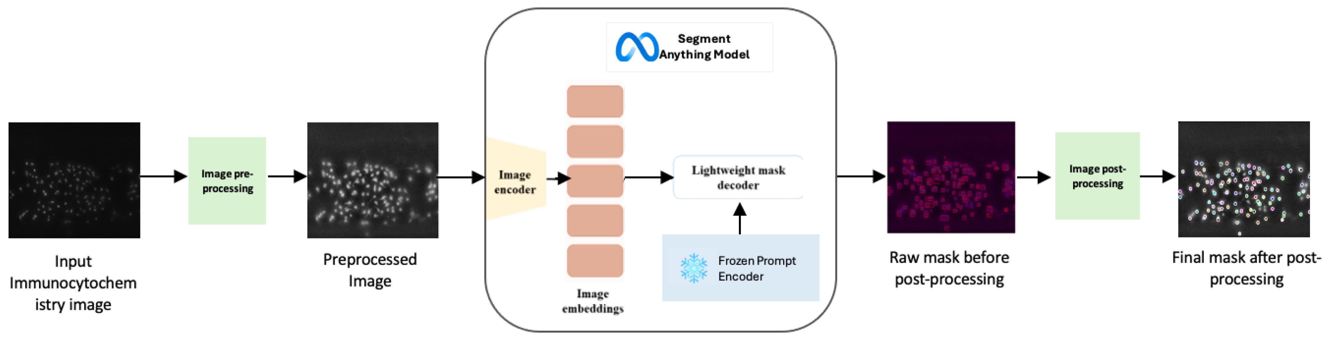Bioengineering 12 00184 g002