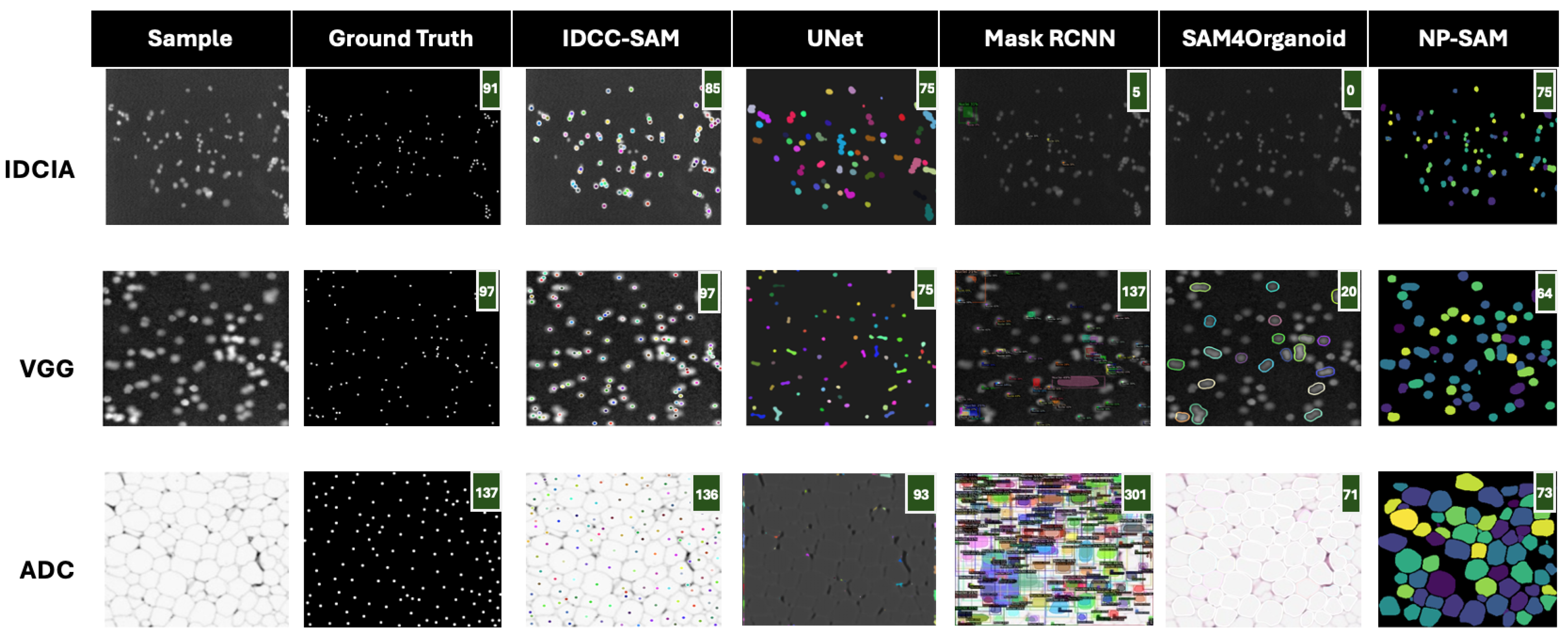 Bioengineering 12 00184 g004