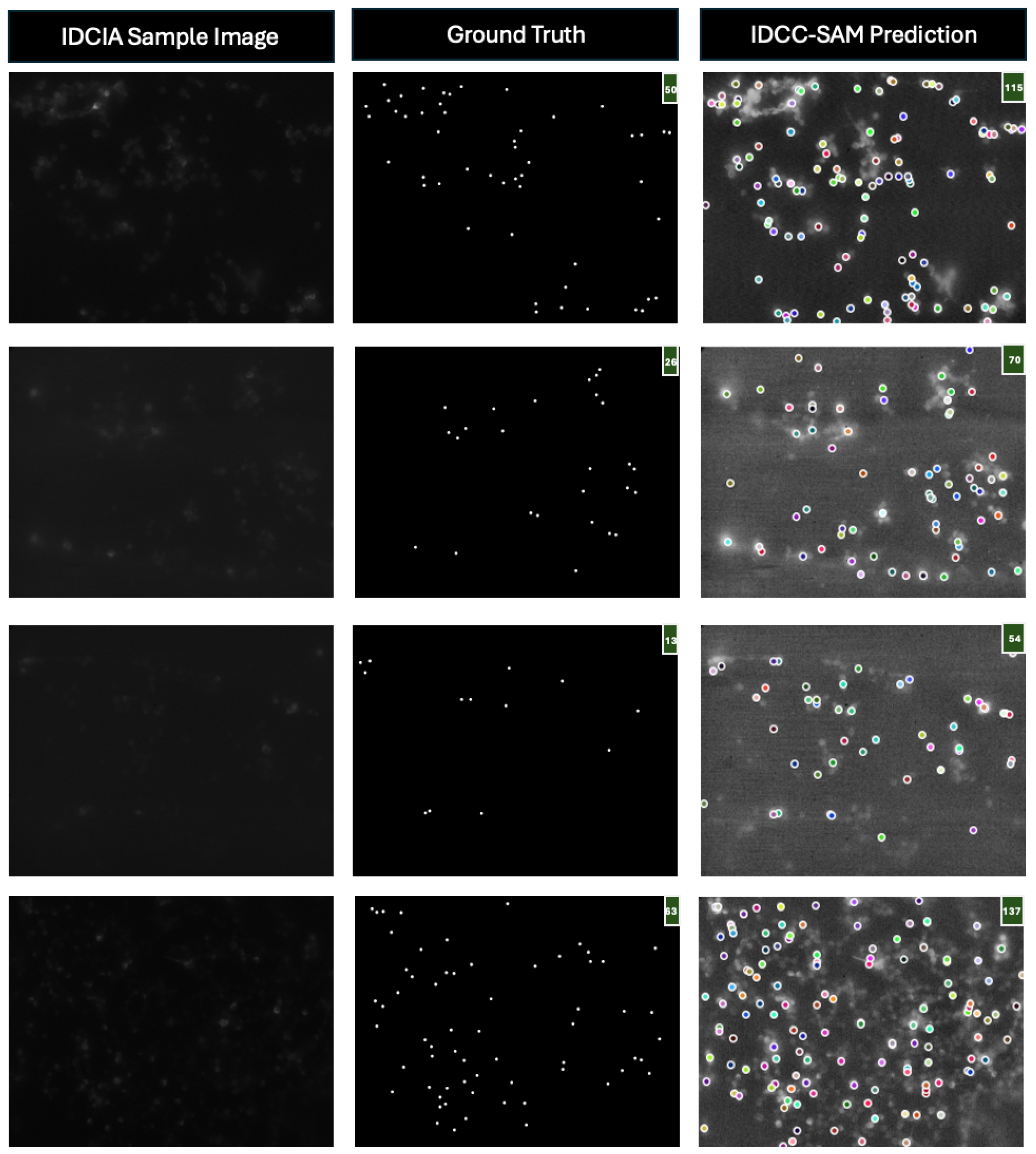 Bioengineering 12 00184 g006