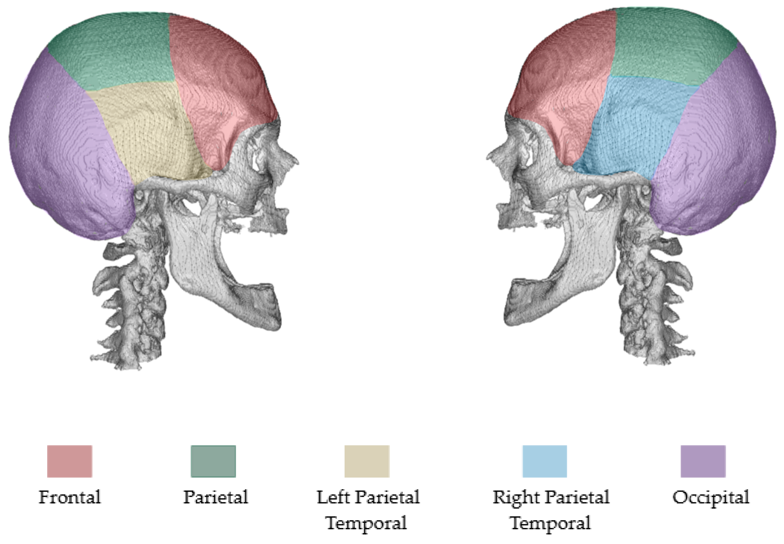 Bioengineering 12 00188 g002