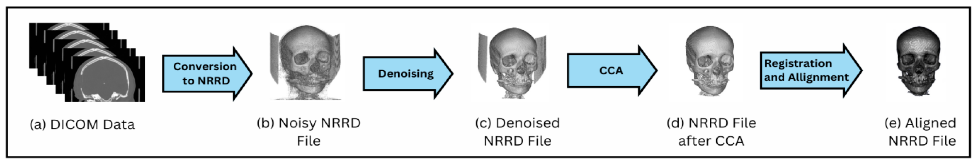 Bioengineering 12 00188 g004