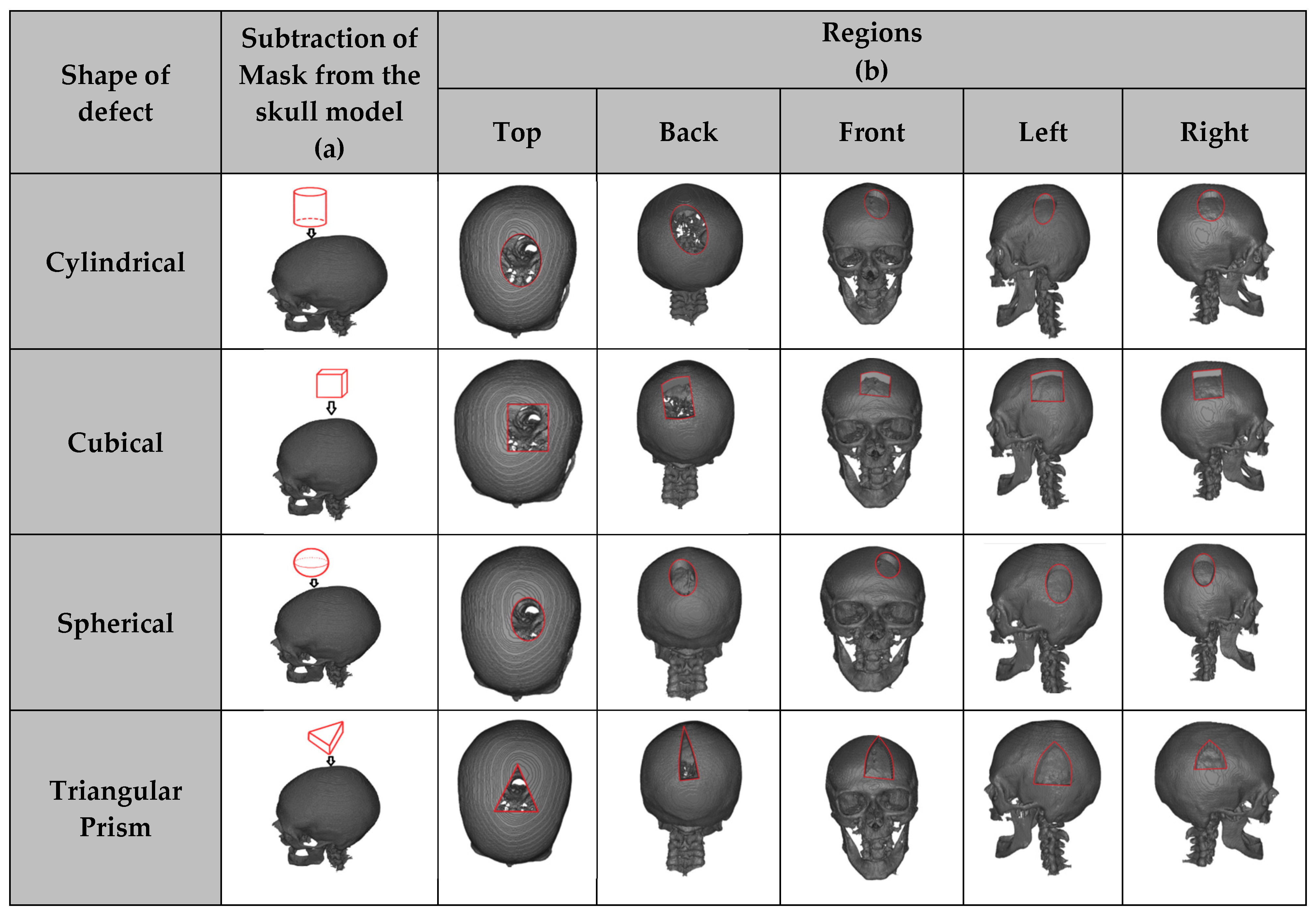 Bioengineering 12 00188 g005