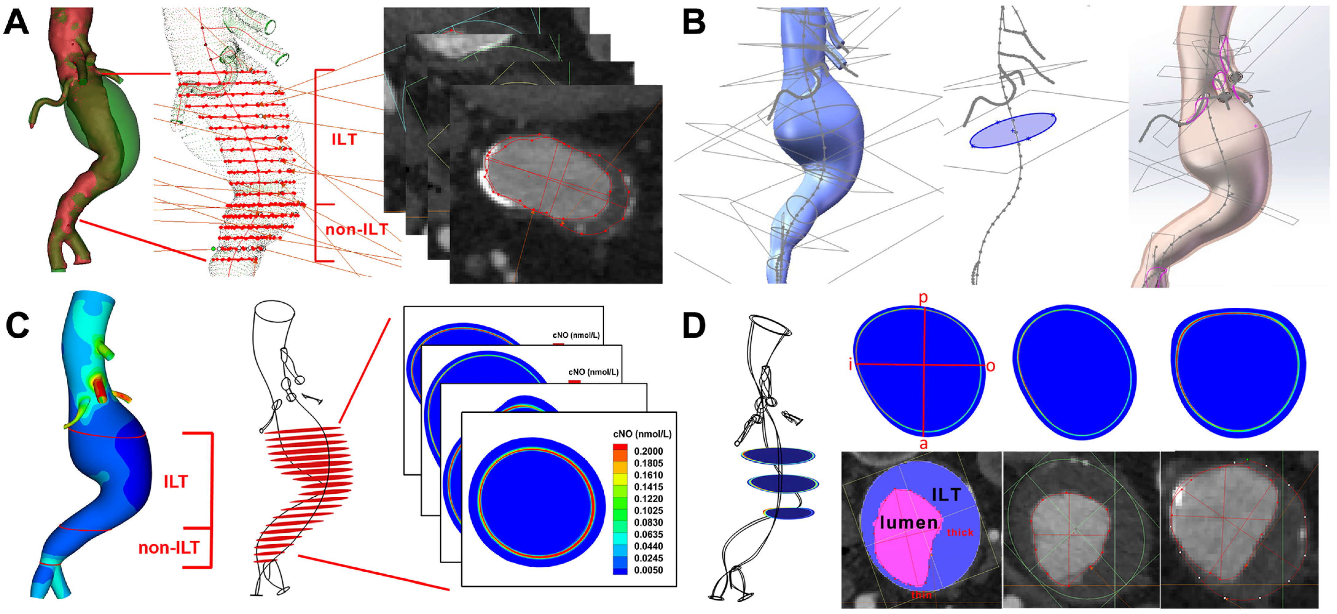 Bioengineering 12 00191 g001
