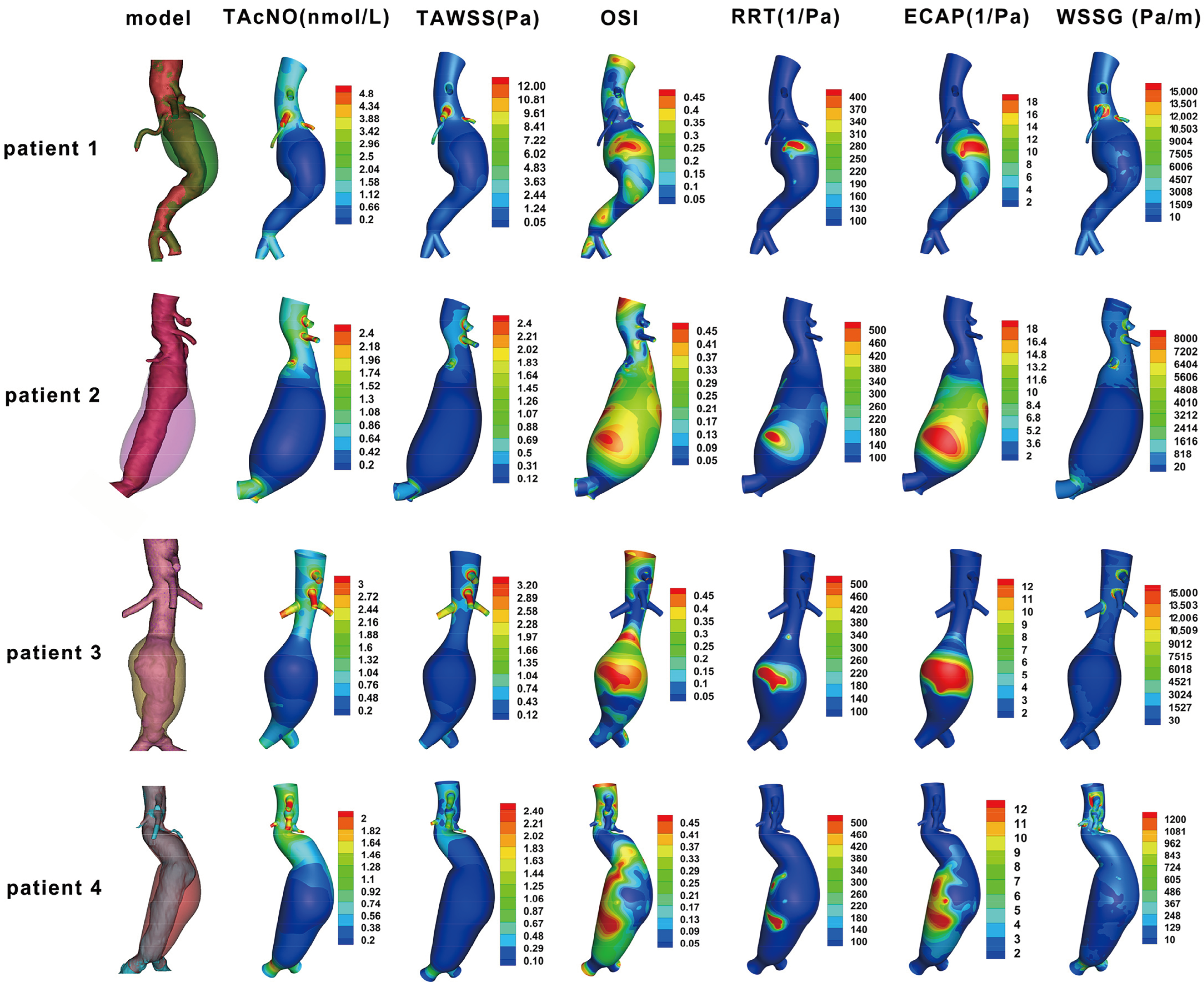 Bioengineering 12 00191 g002