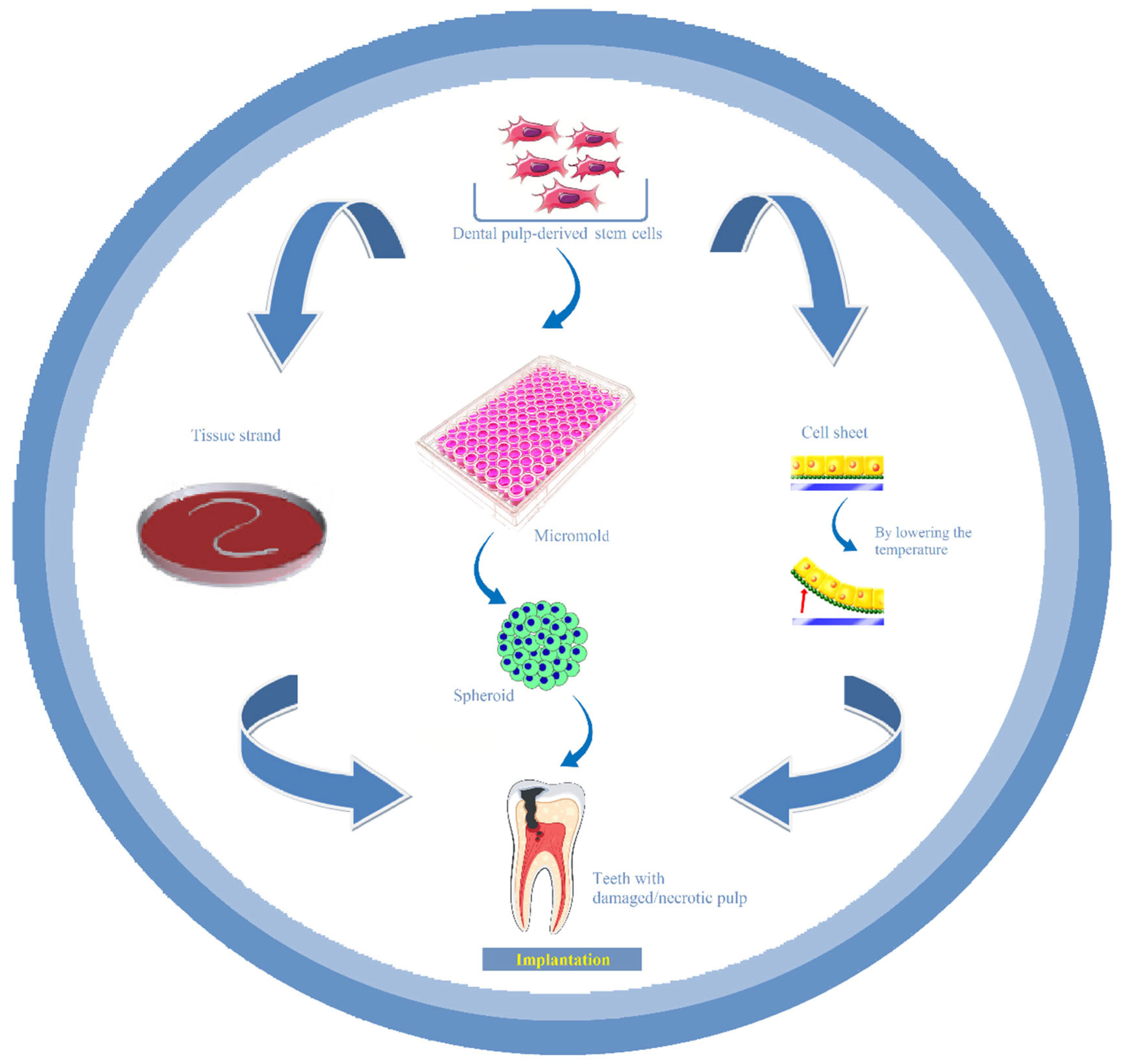 Bioengineering 12 00198 g001