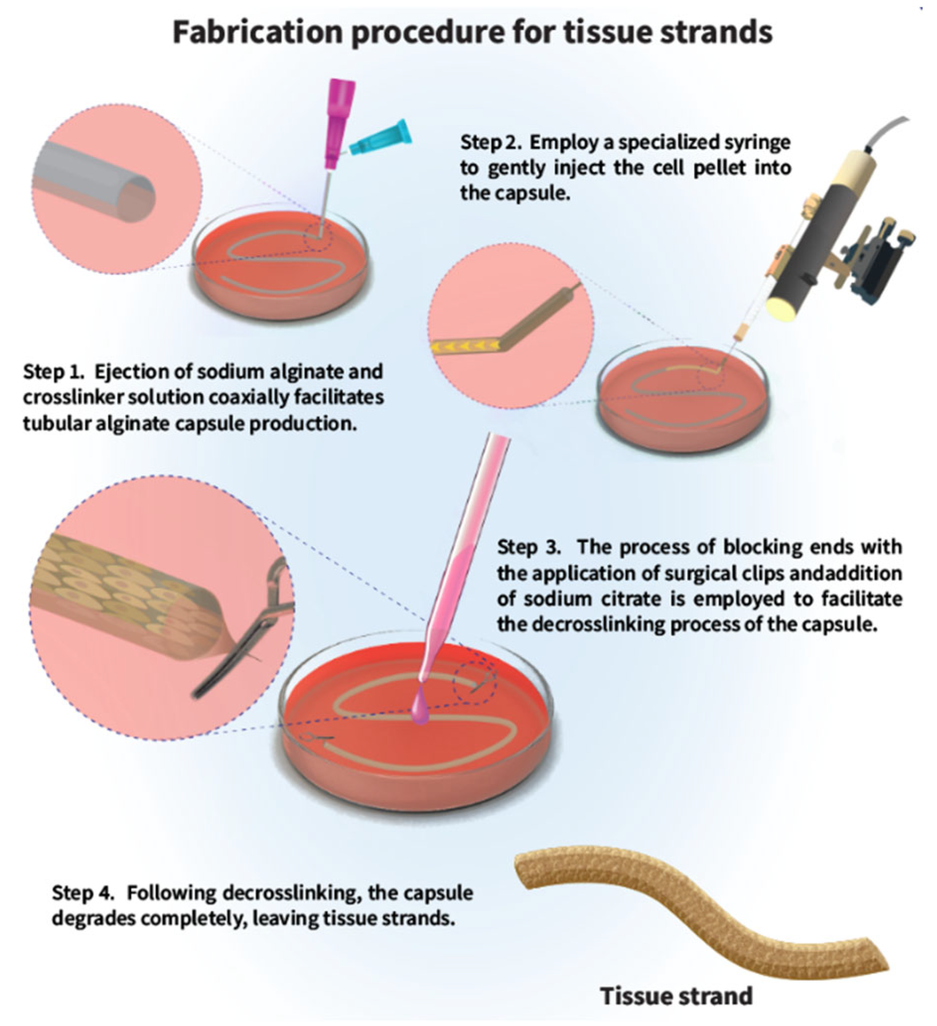 Bioengineering 12 00198 g002