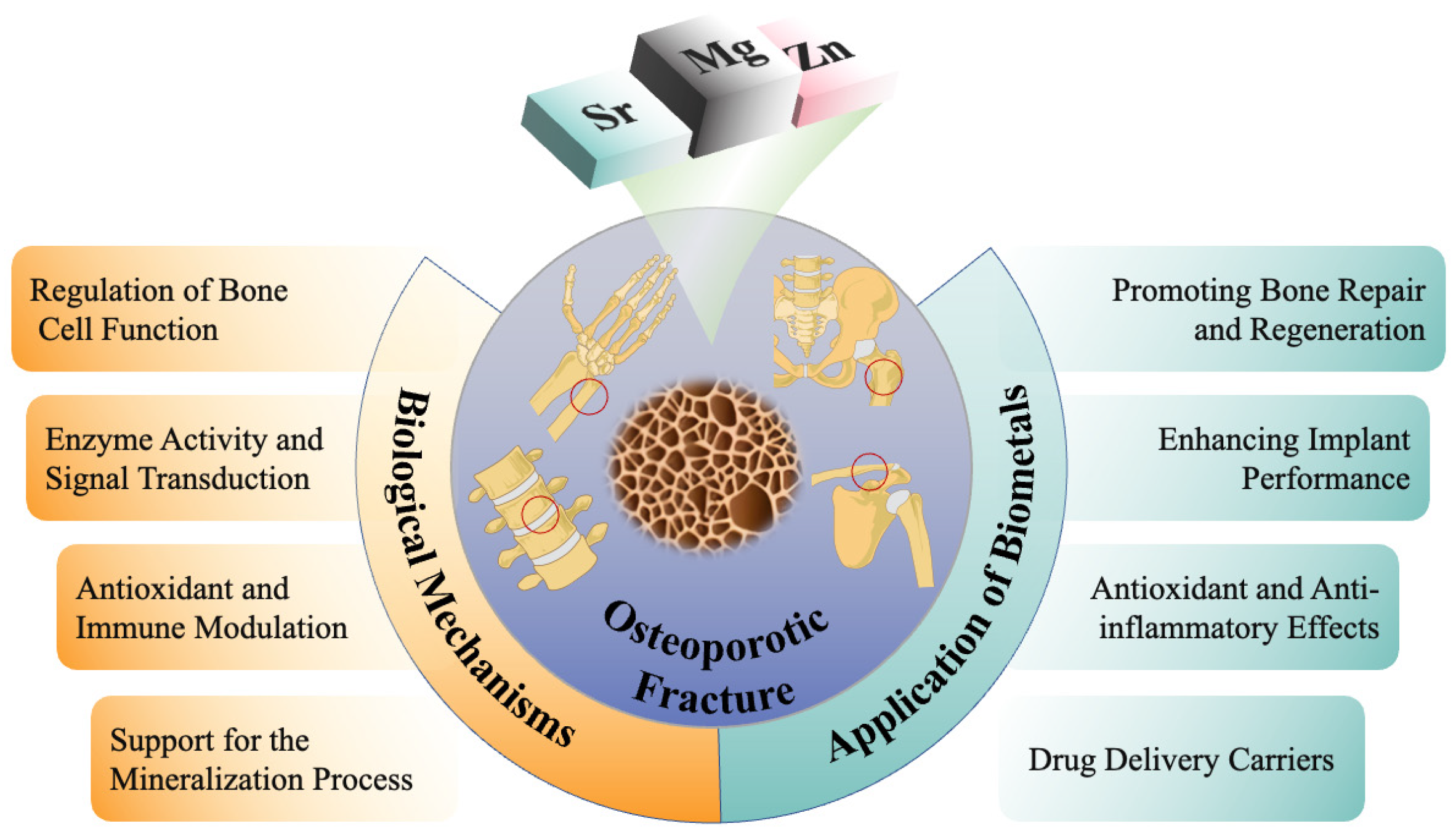 Bioengineering 12 00201 g001