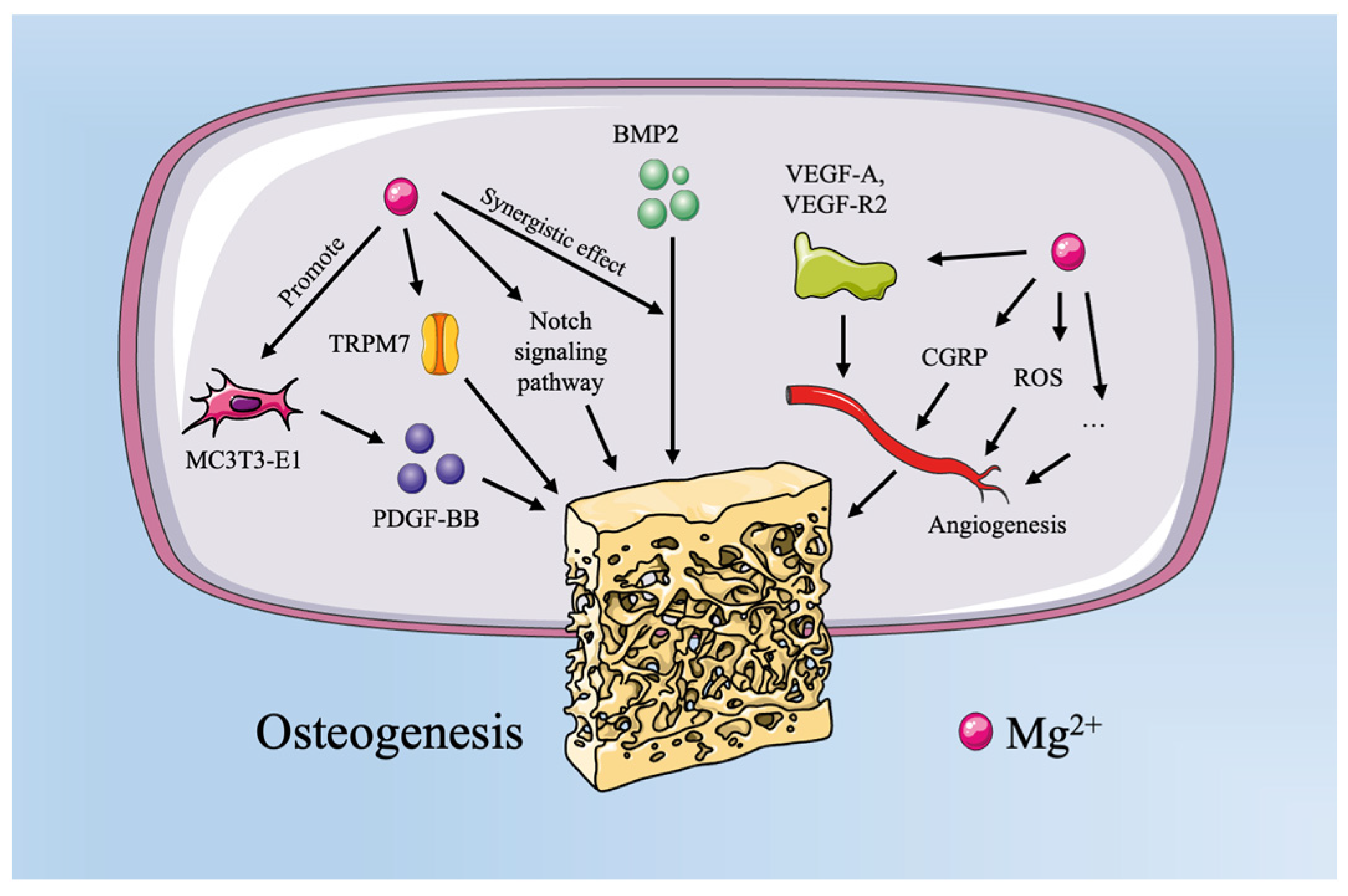 Bioengineering 12 00201 g002
