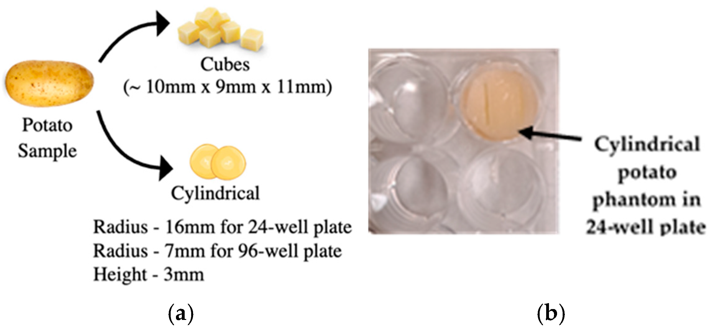Bioengineering 12 00203 g005