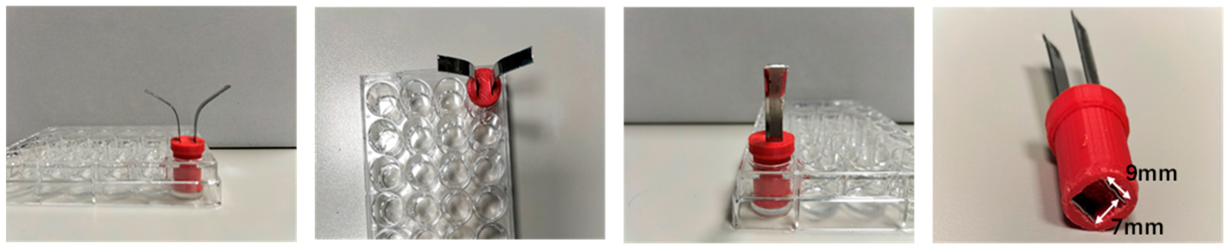 Bioengineering 12 00203 g014