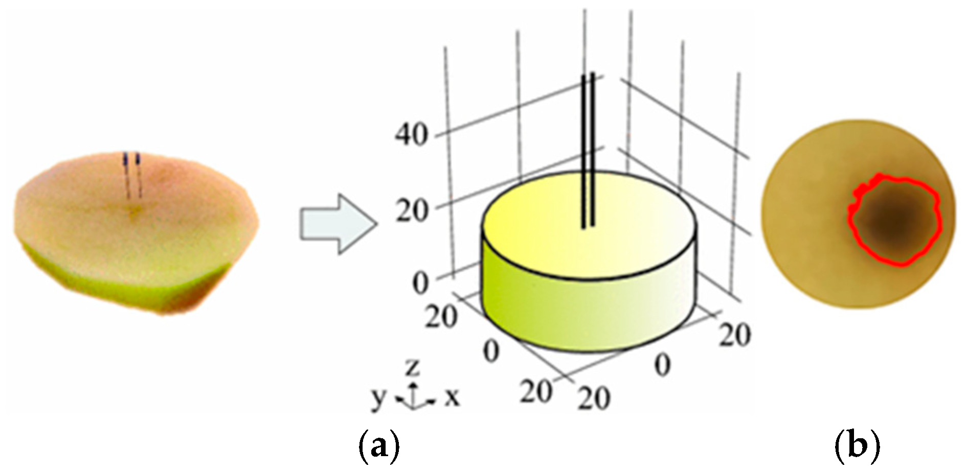 Bioengineering 12 00203 g016