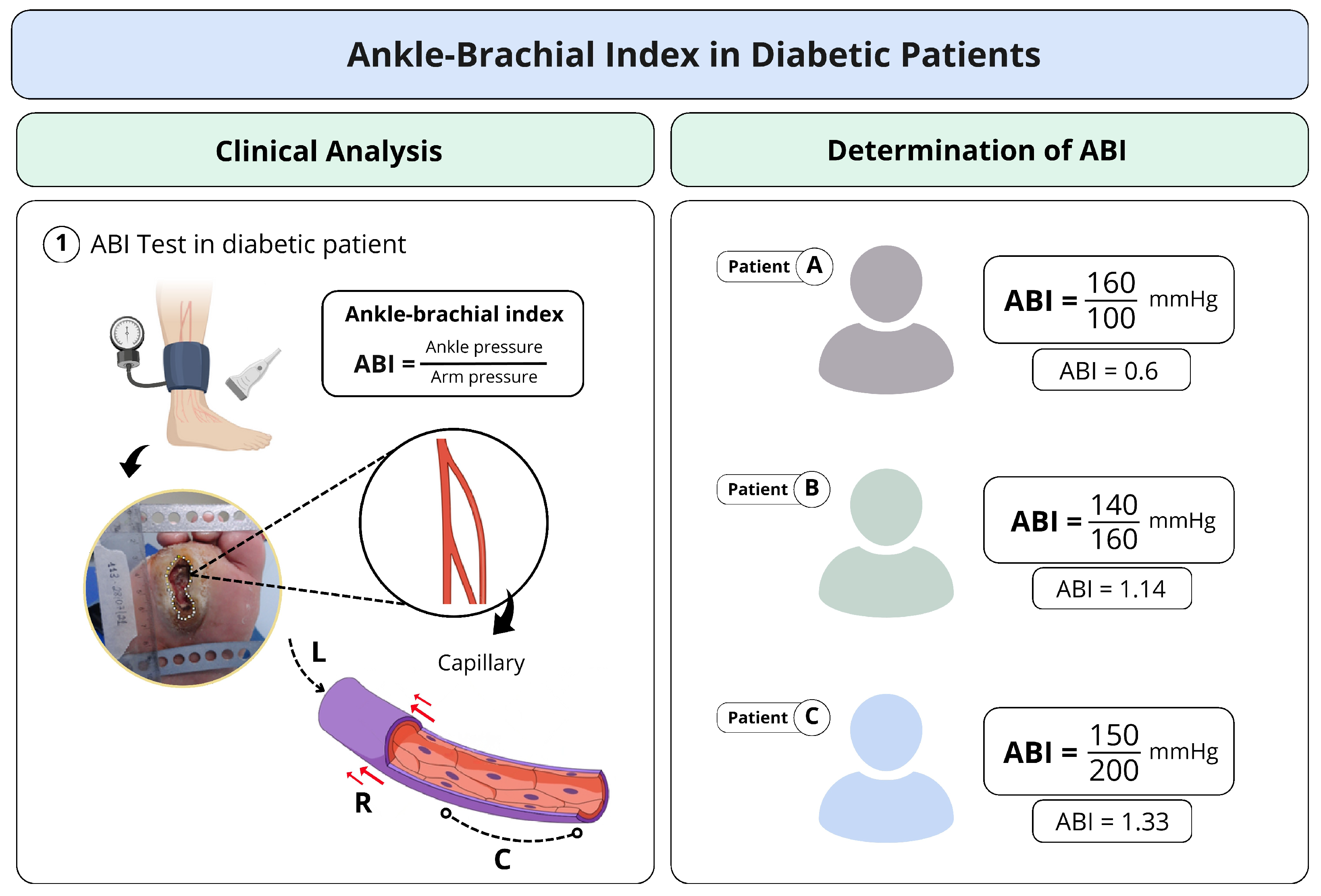 Bioengineering 12 00206 g001 Bioengineering 12 00206 g001