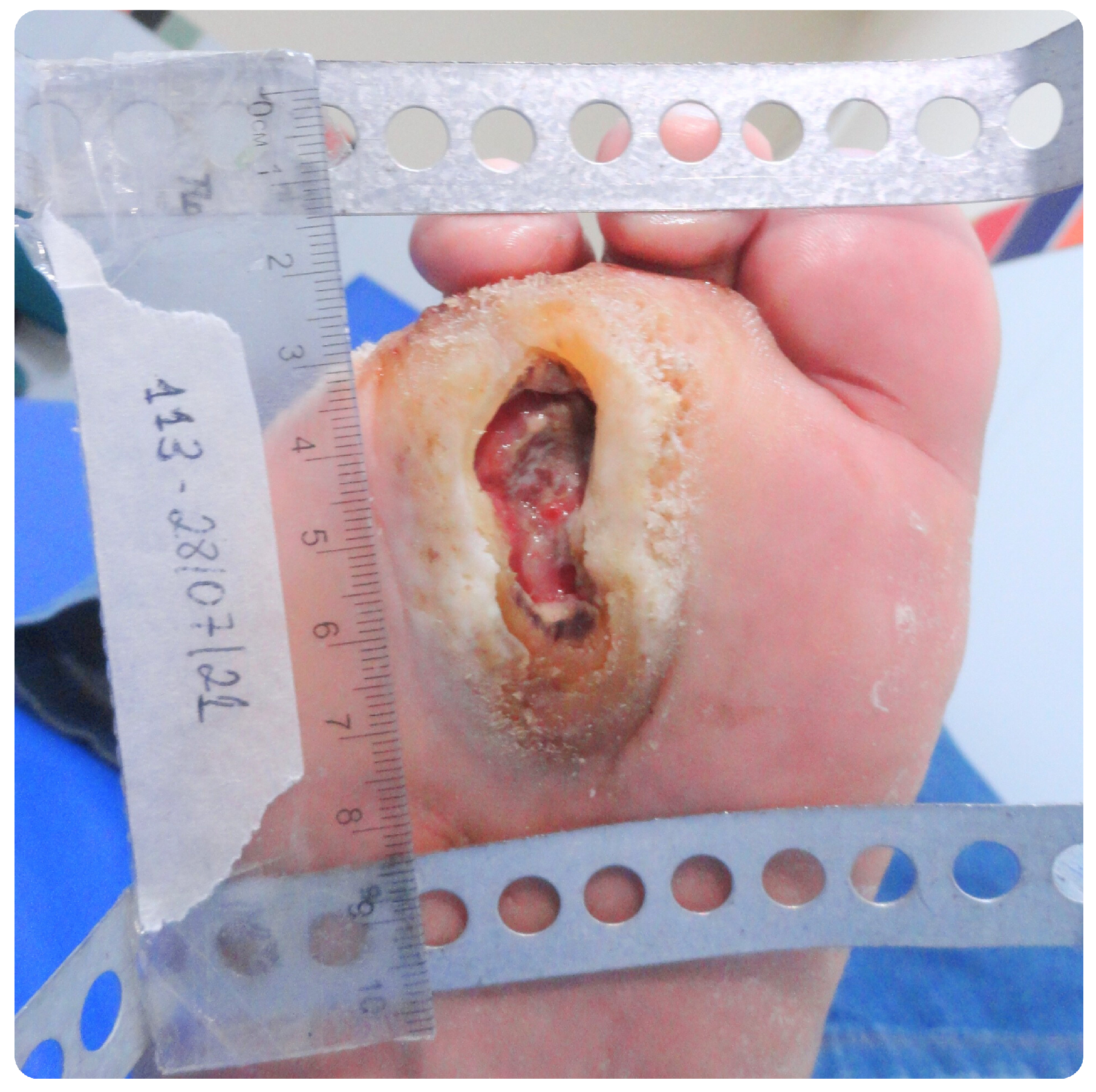 Bioengineering 12 00206 g005 Bioengineering 12 00206 g005