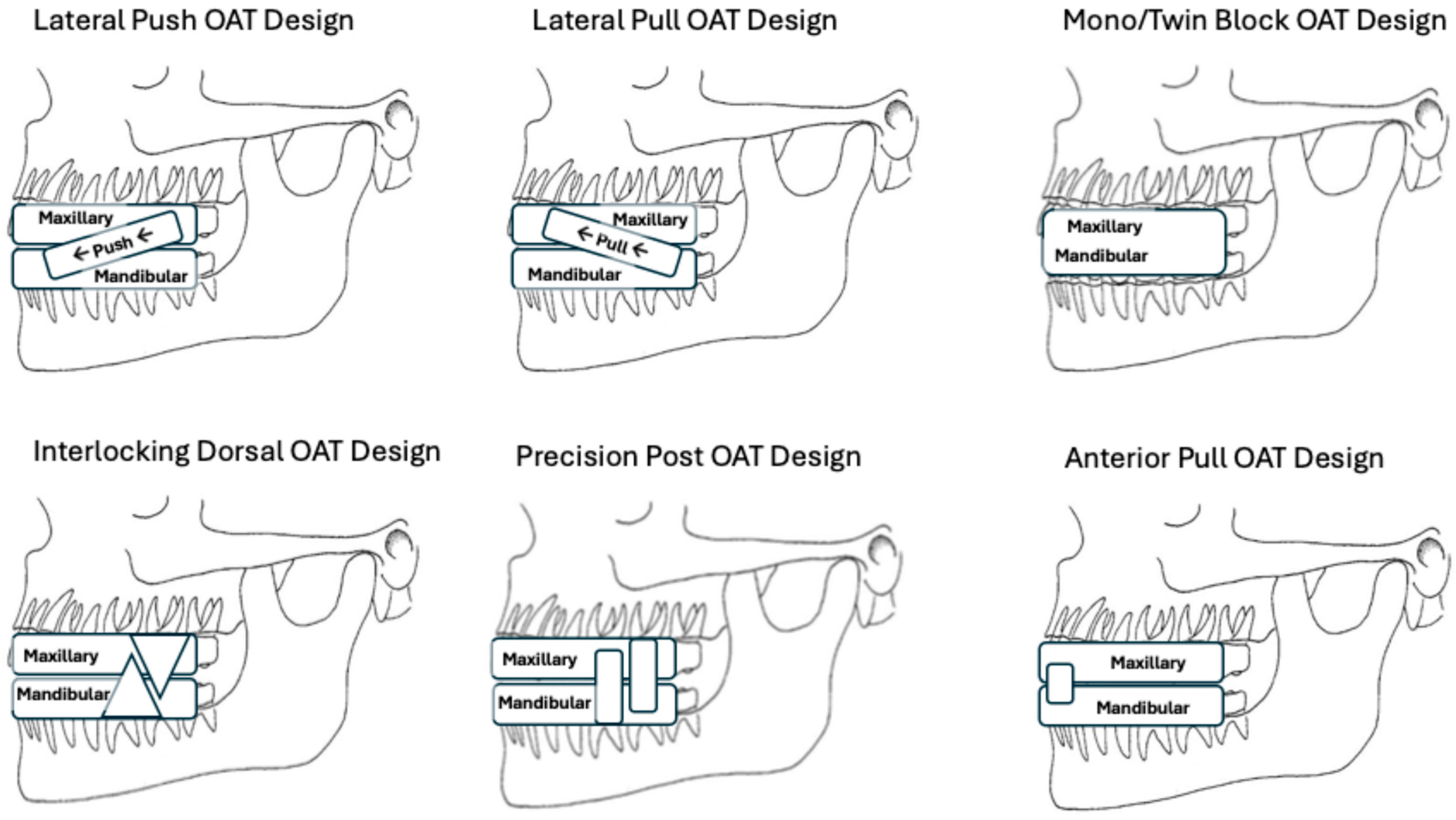Bioengineering 12 00210 g001