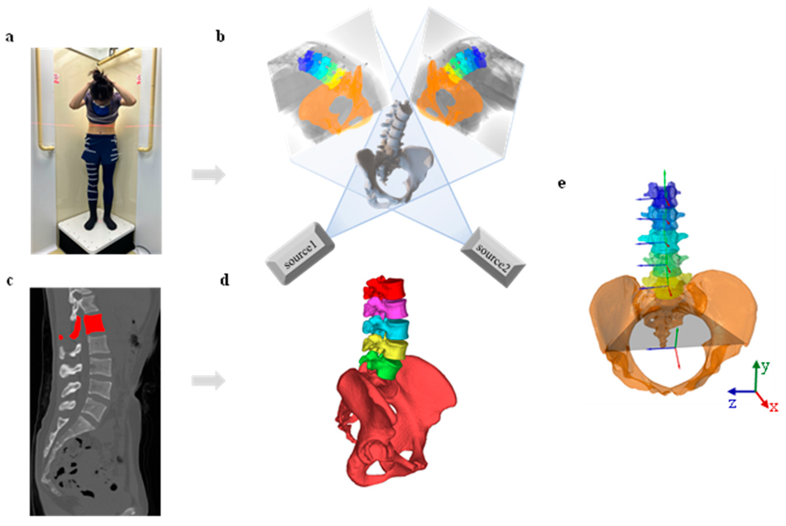 Bioengineering 12 00214 g001