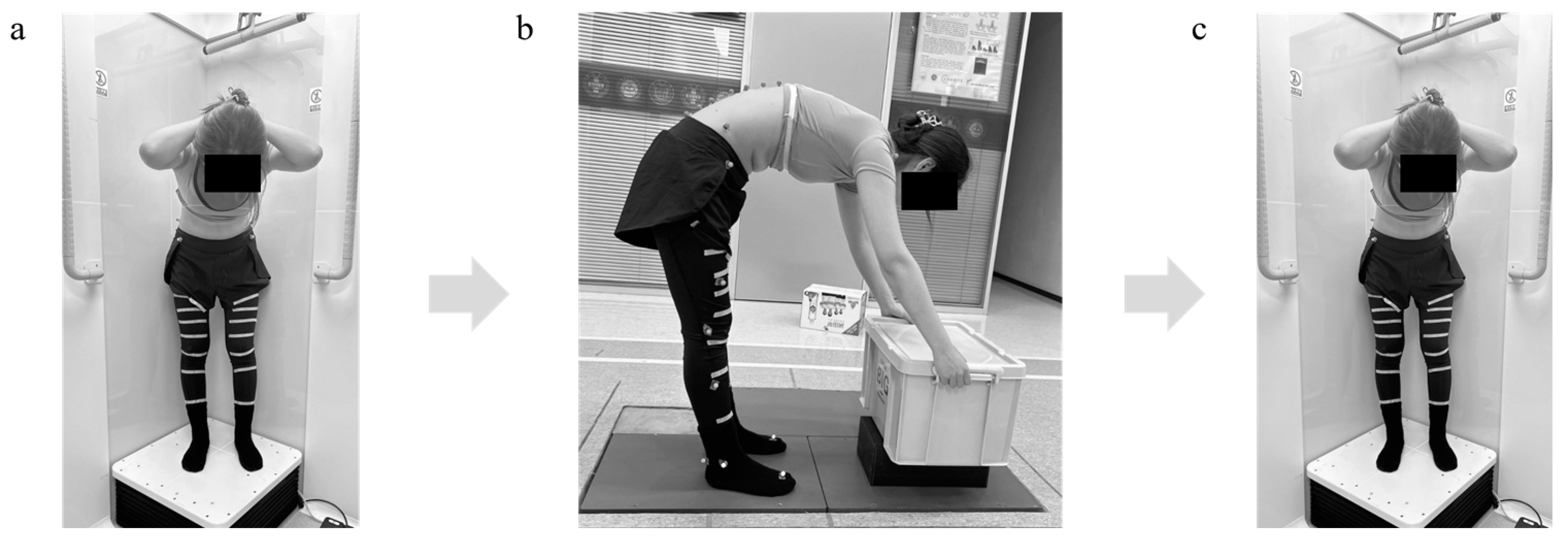 Bioengineering 12 00214 g002