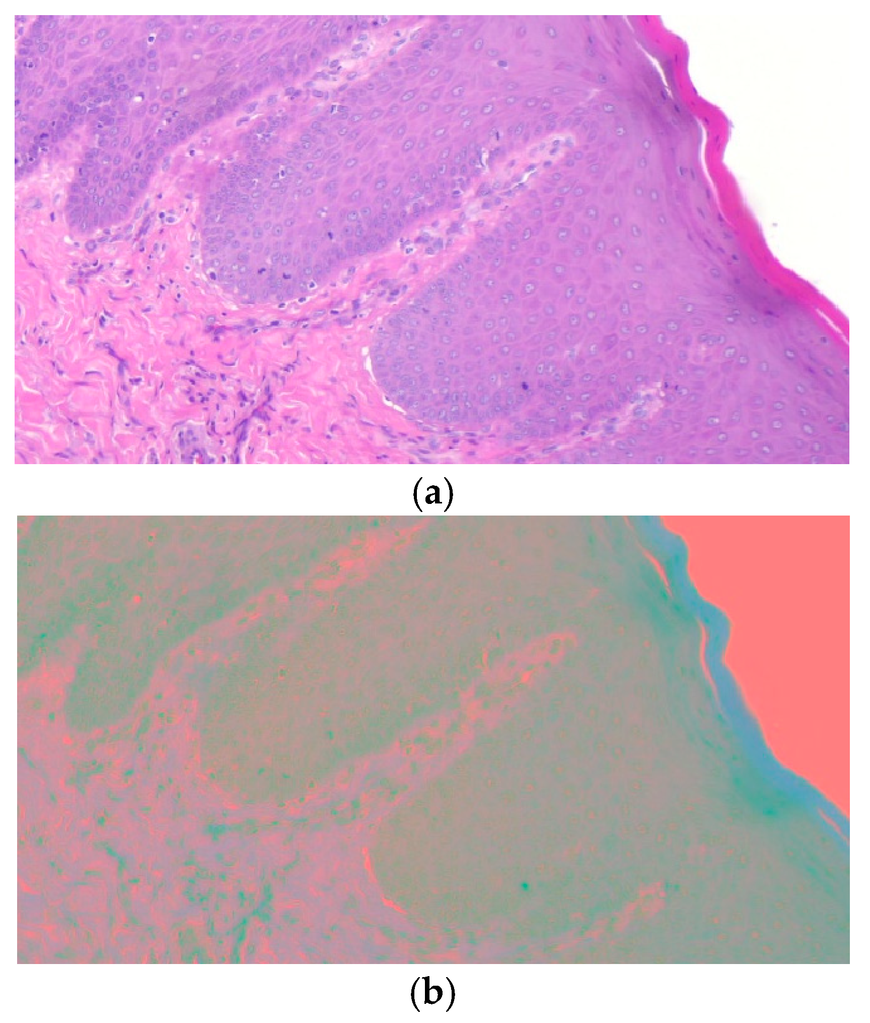 Bioengineering 12 00216 g004