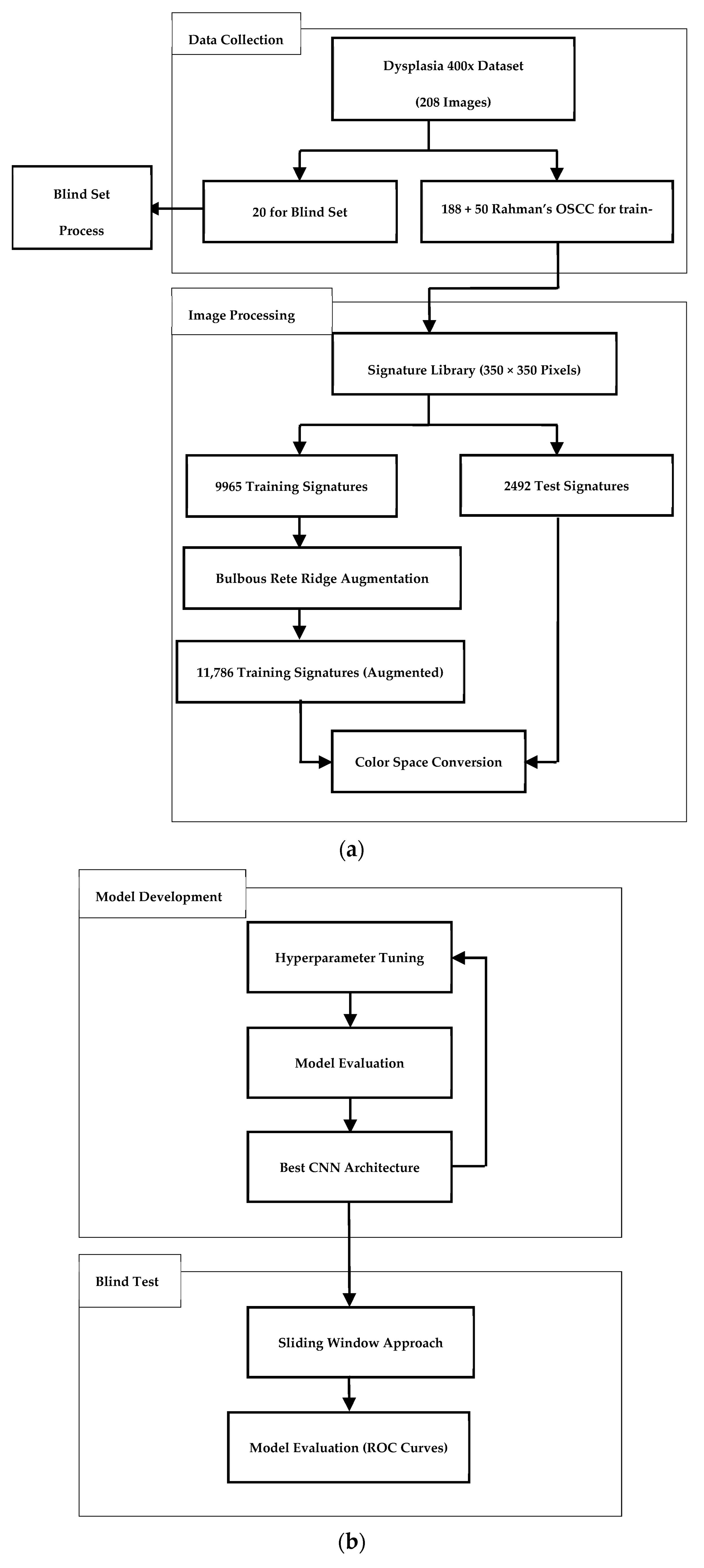 Bioengineering 12 00216 g005