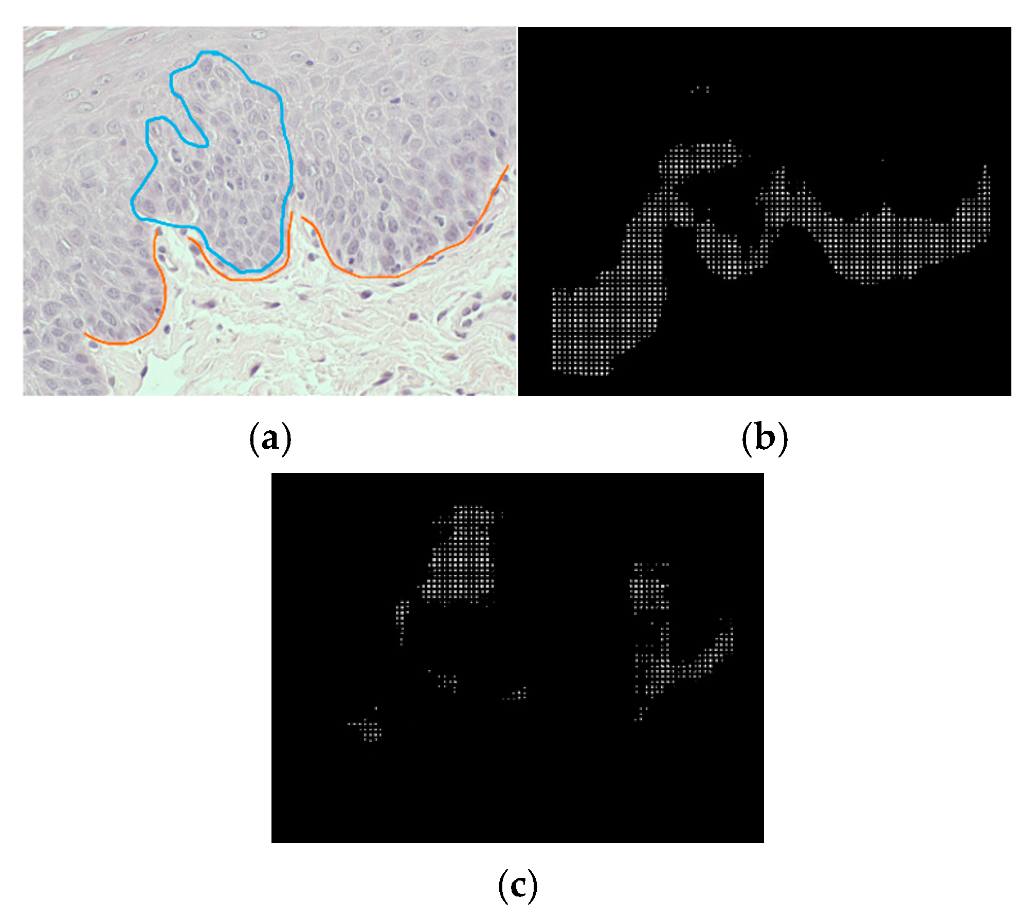 Bioengineering 12 00216 g007