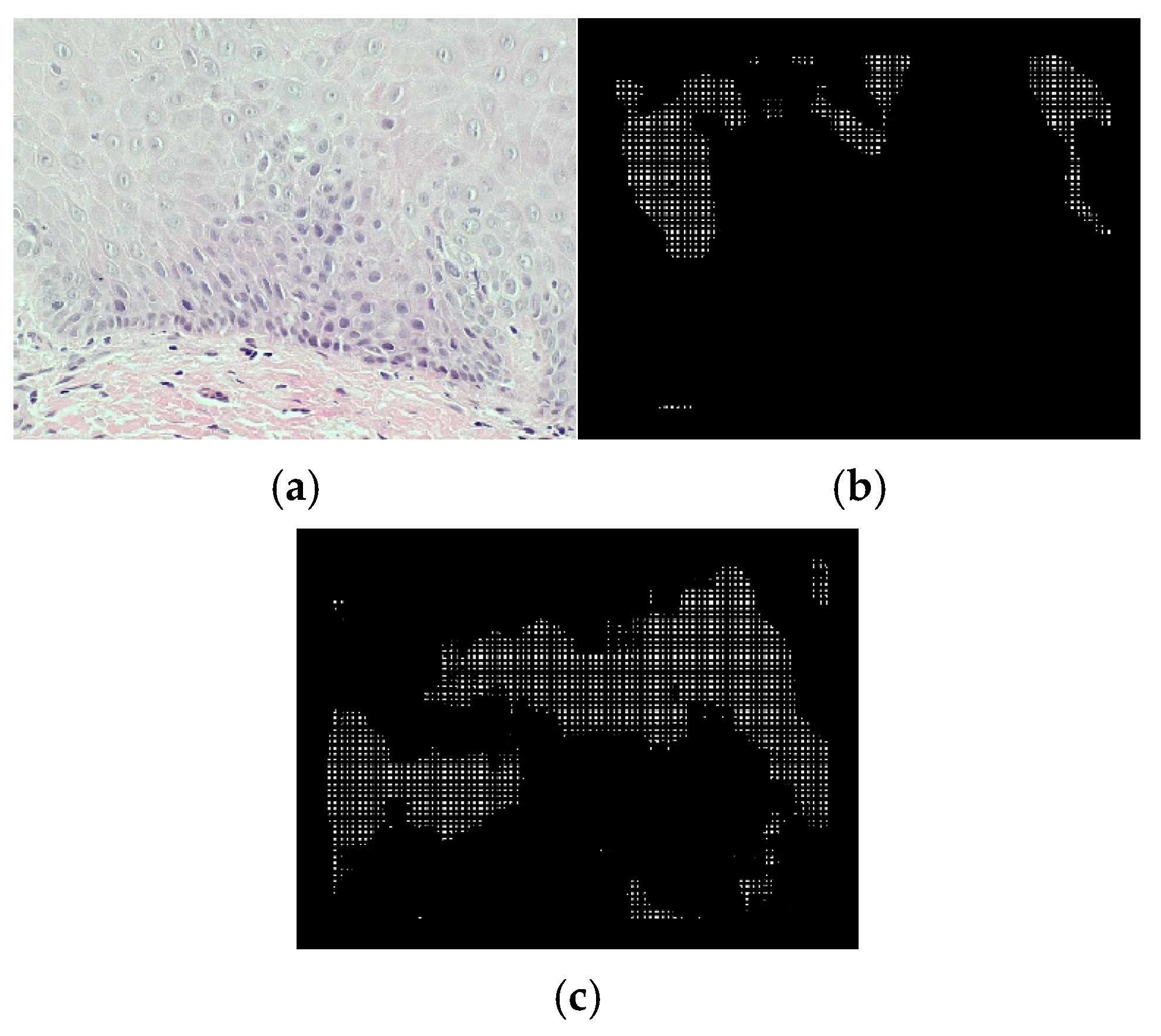Bioengineering 12 00216 g008