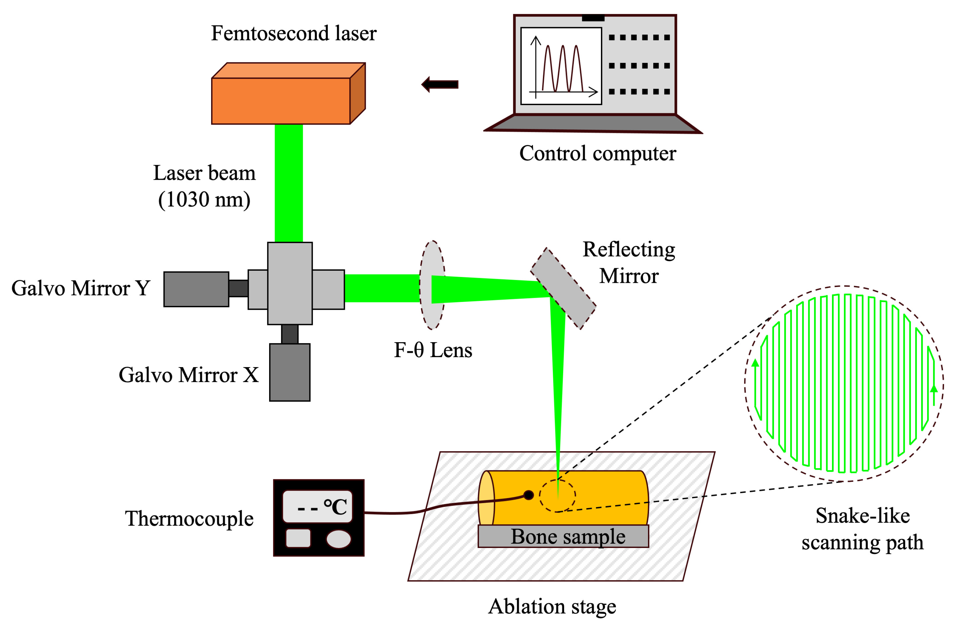 Bioengineering 12 00217 g001 Bioengineering 12 00217 g001