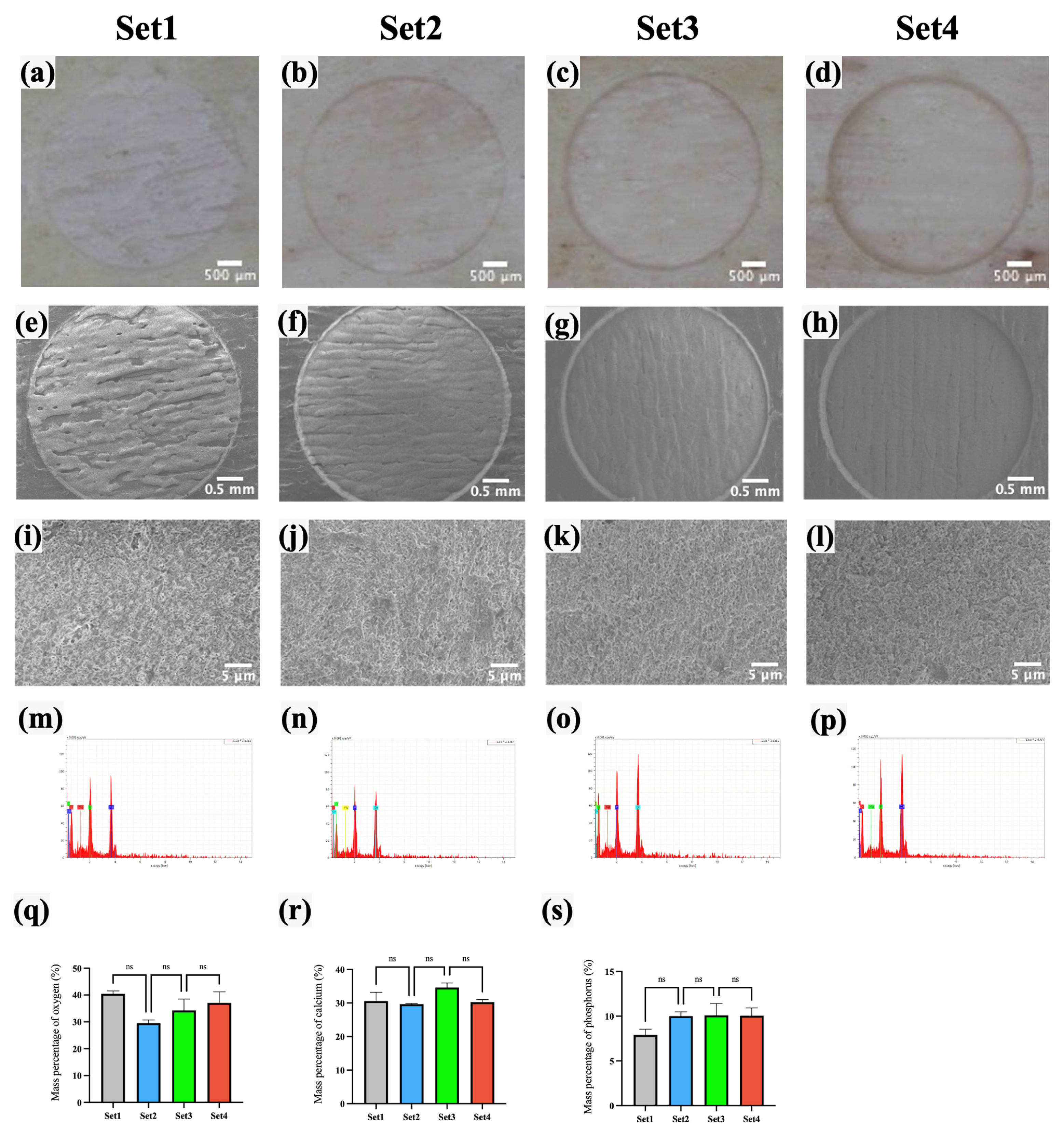 Bioengineering 12 00217 g004 Bioengineering 12 00217 g004