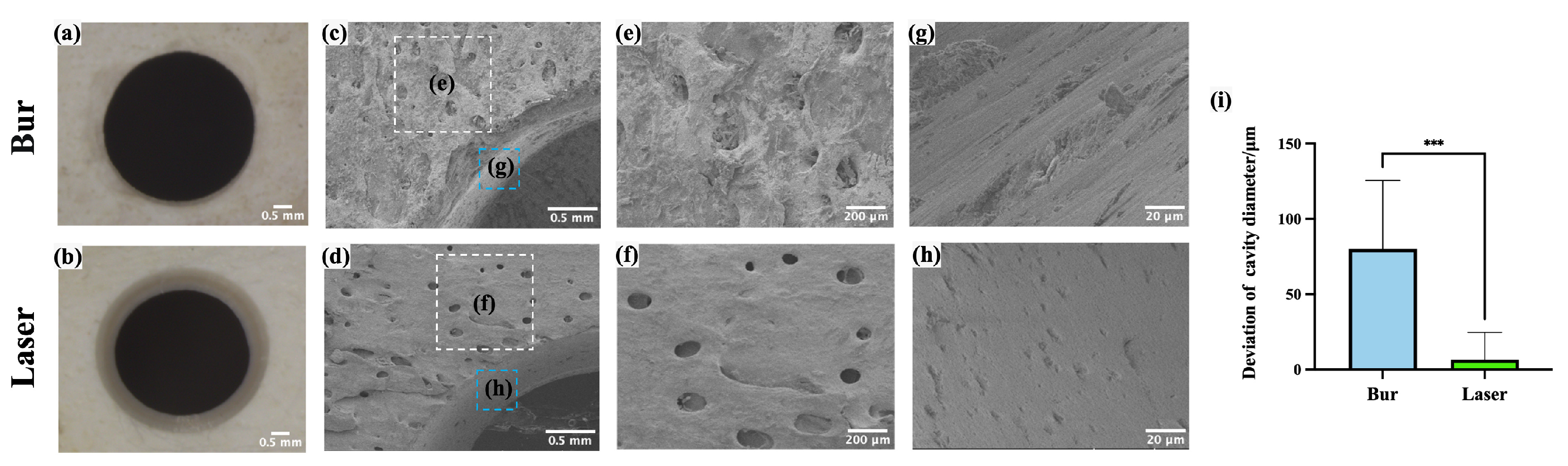 Bioengineering 12 00217 g005 Bioengineering 12 00217 g005