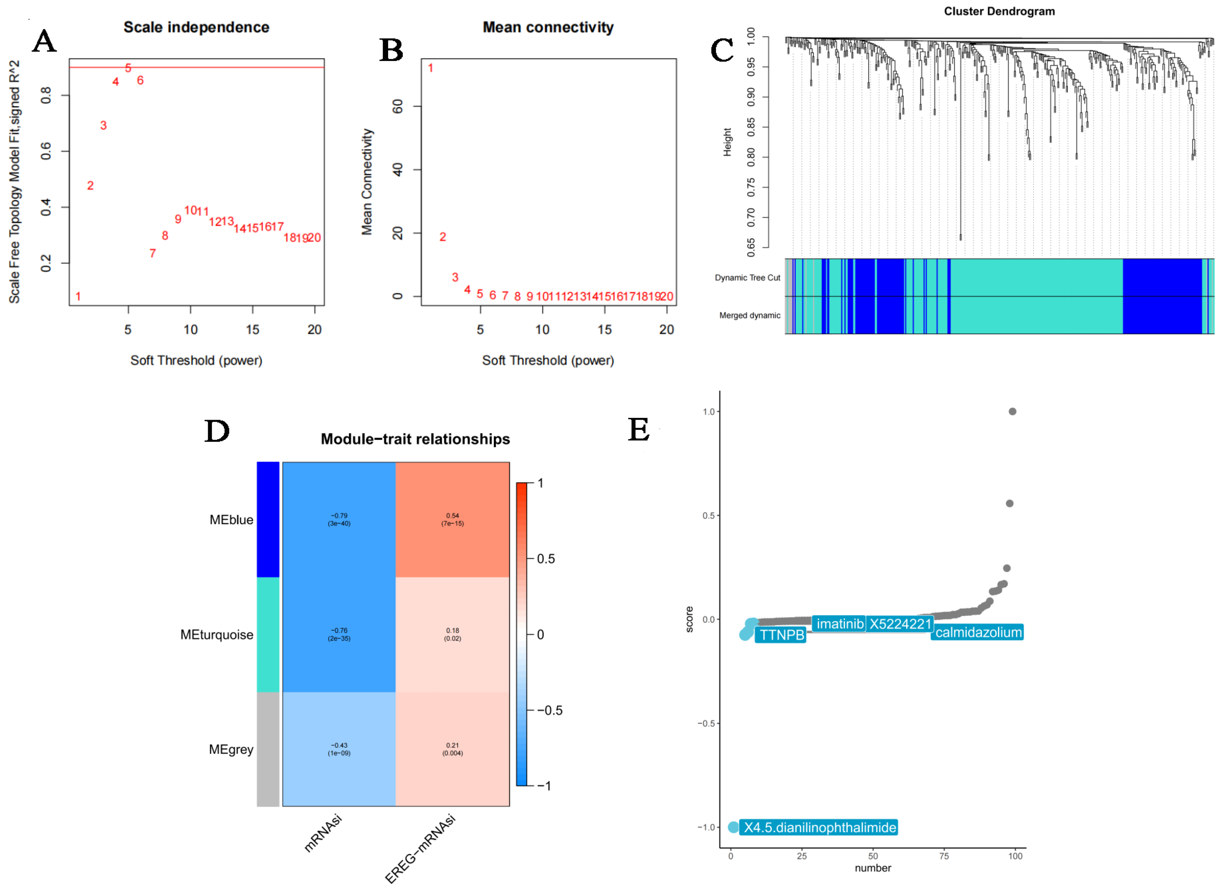 Bioengineering 12 00219 g006