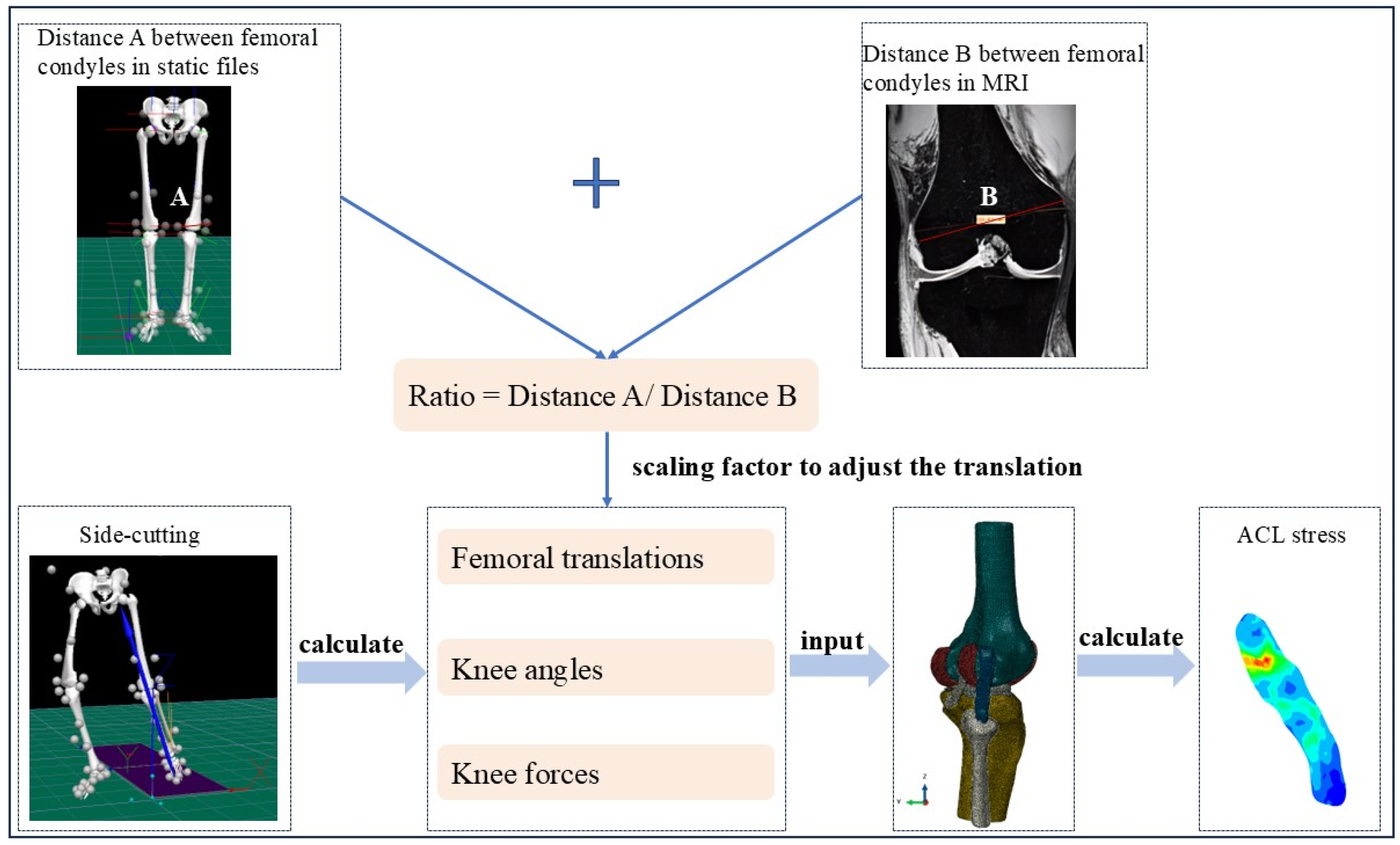 Bioengineering 12 00222 g001