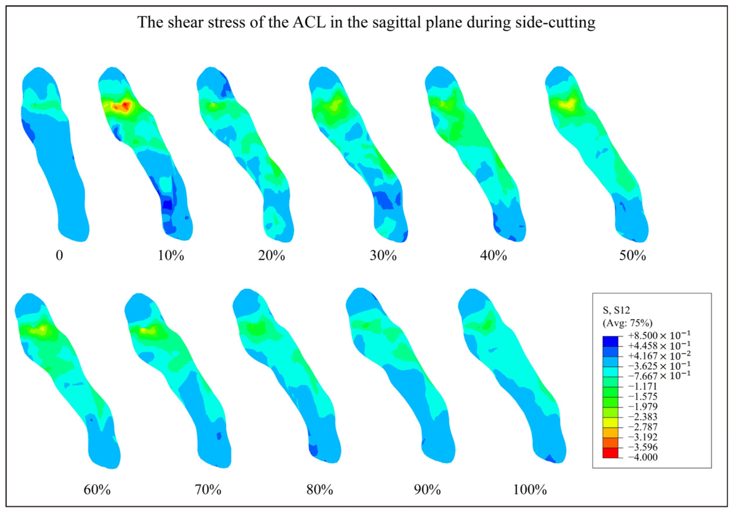 Bioengineering 12 00222 g003