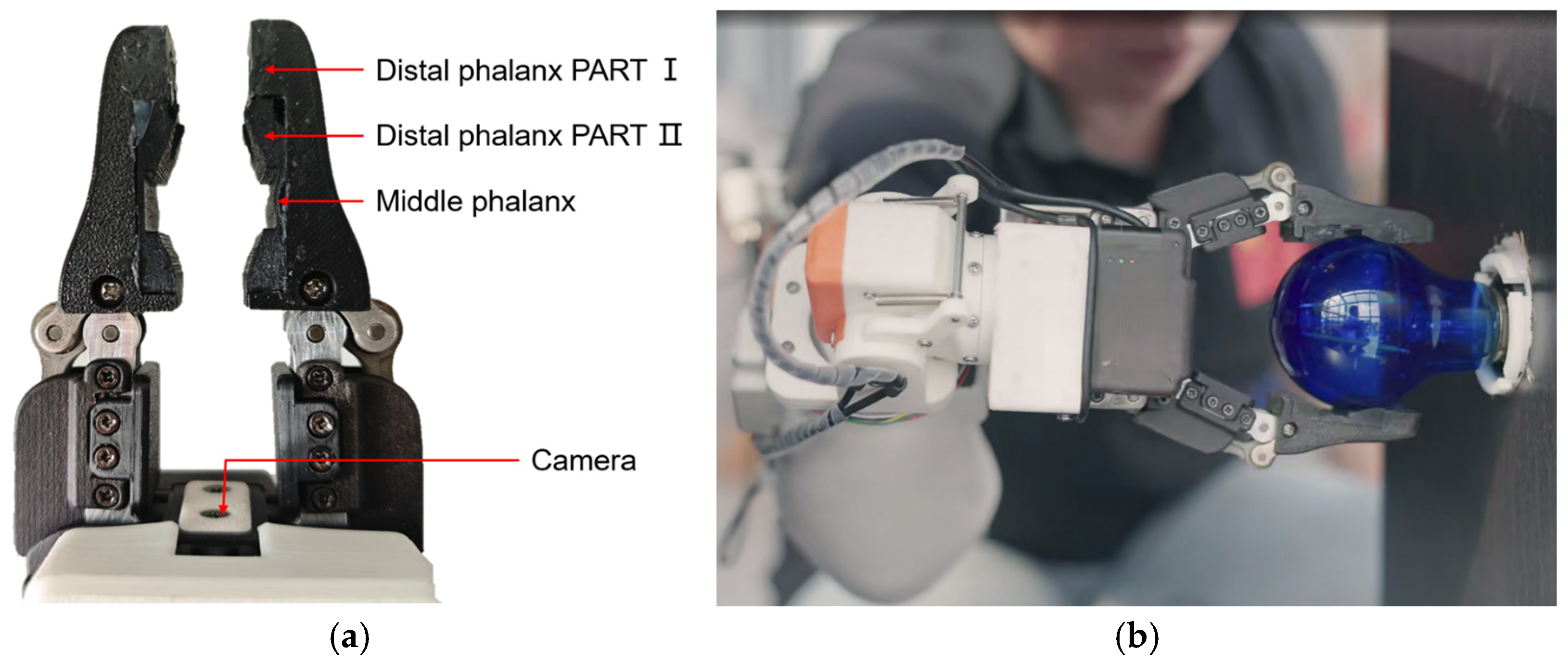 Bioengineering 12 00228 g004