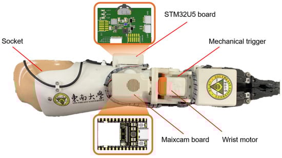 Bioengineering 12 00228 g0a1