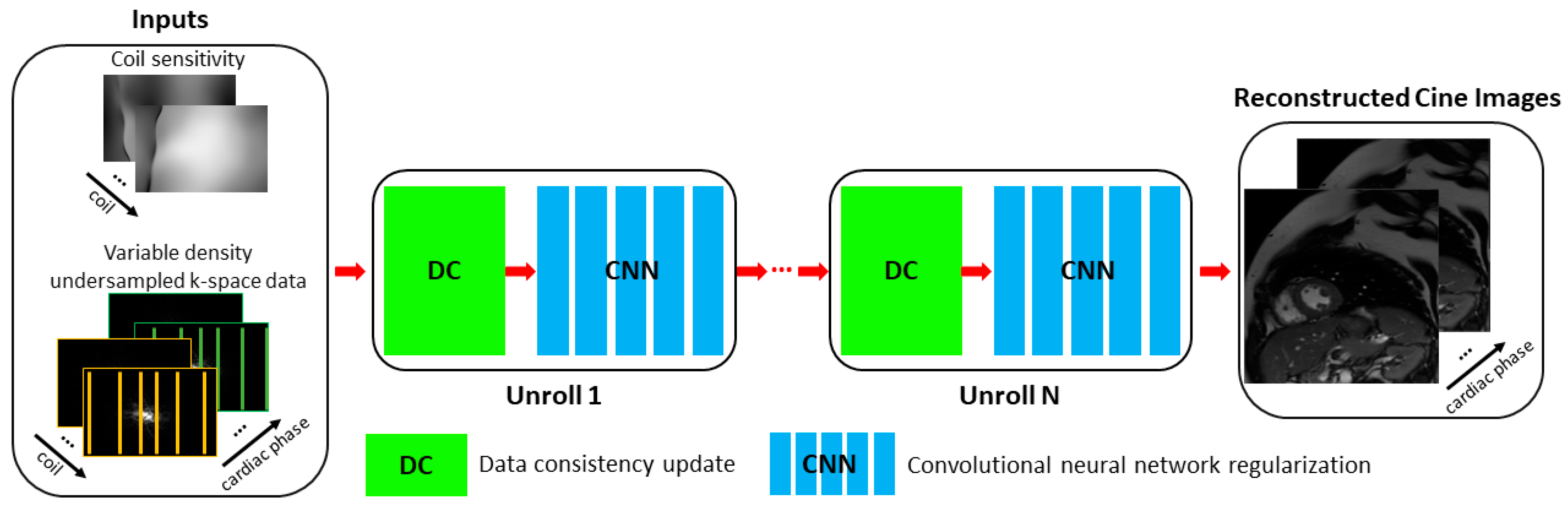 Bioengineering 12 00231 g001
