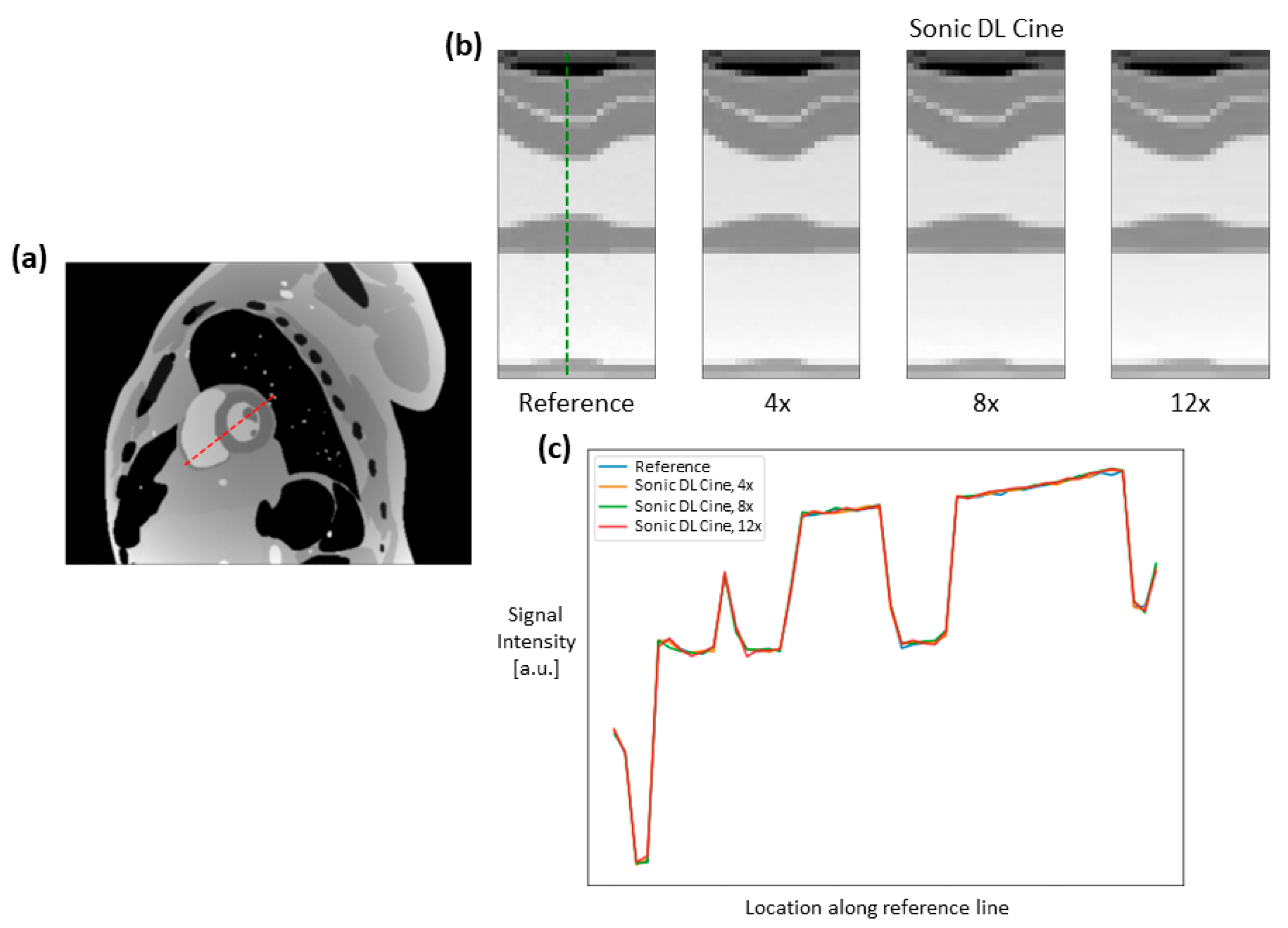 Bioengineering 12 00231 g004