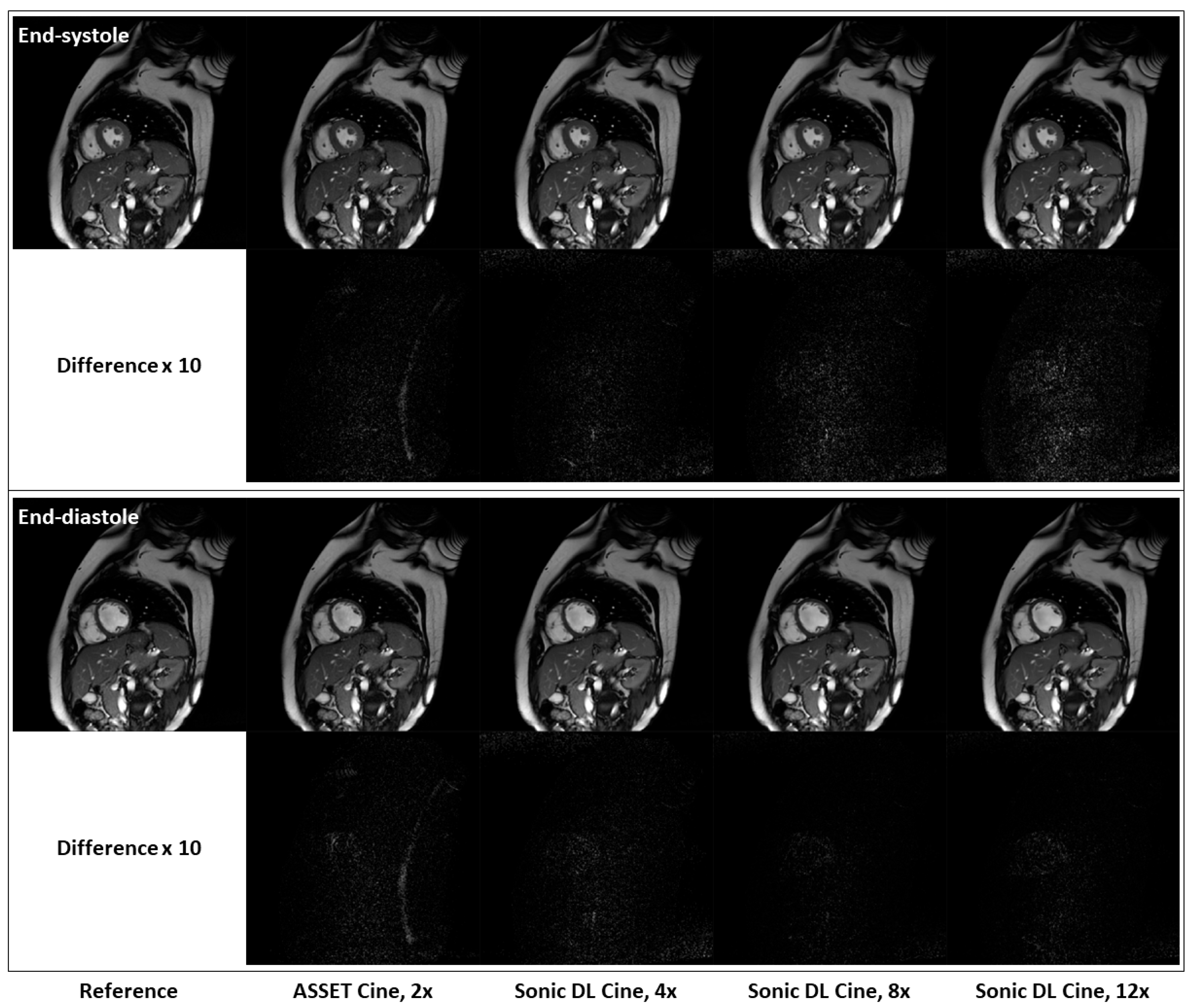 Bioengineering 12 00231 g005