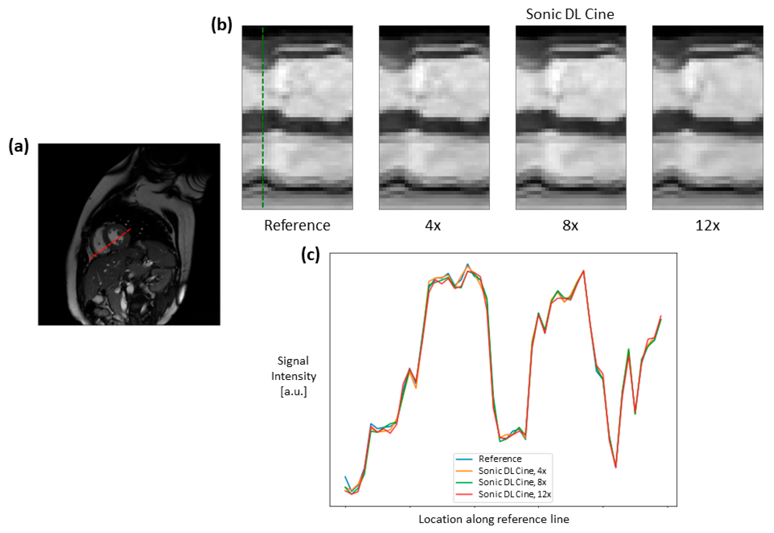 Bioengineering 12 00231 g008