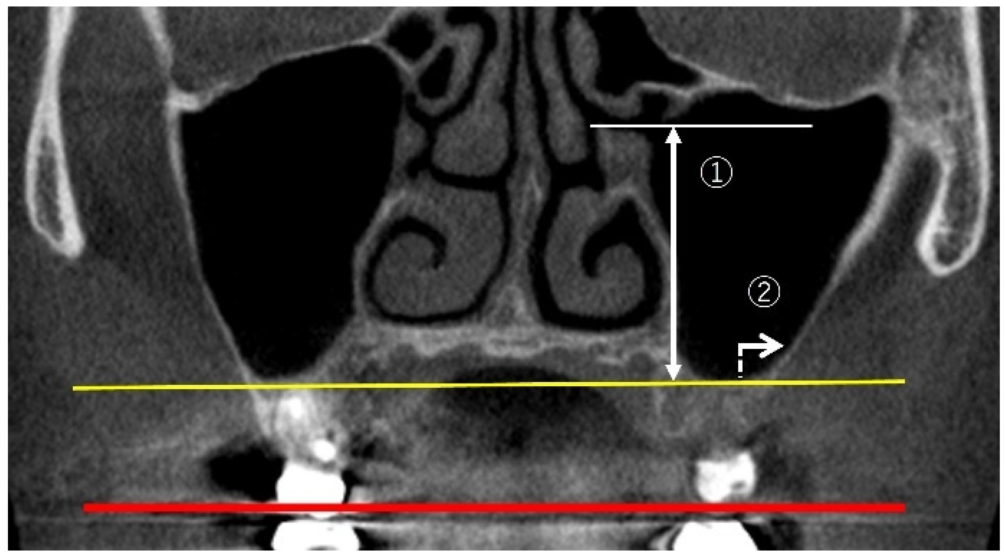Bioengineering 12 00240 g001