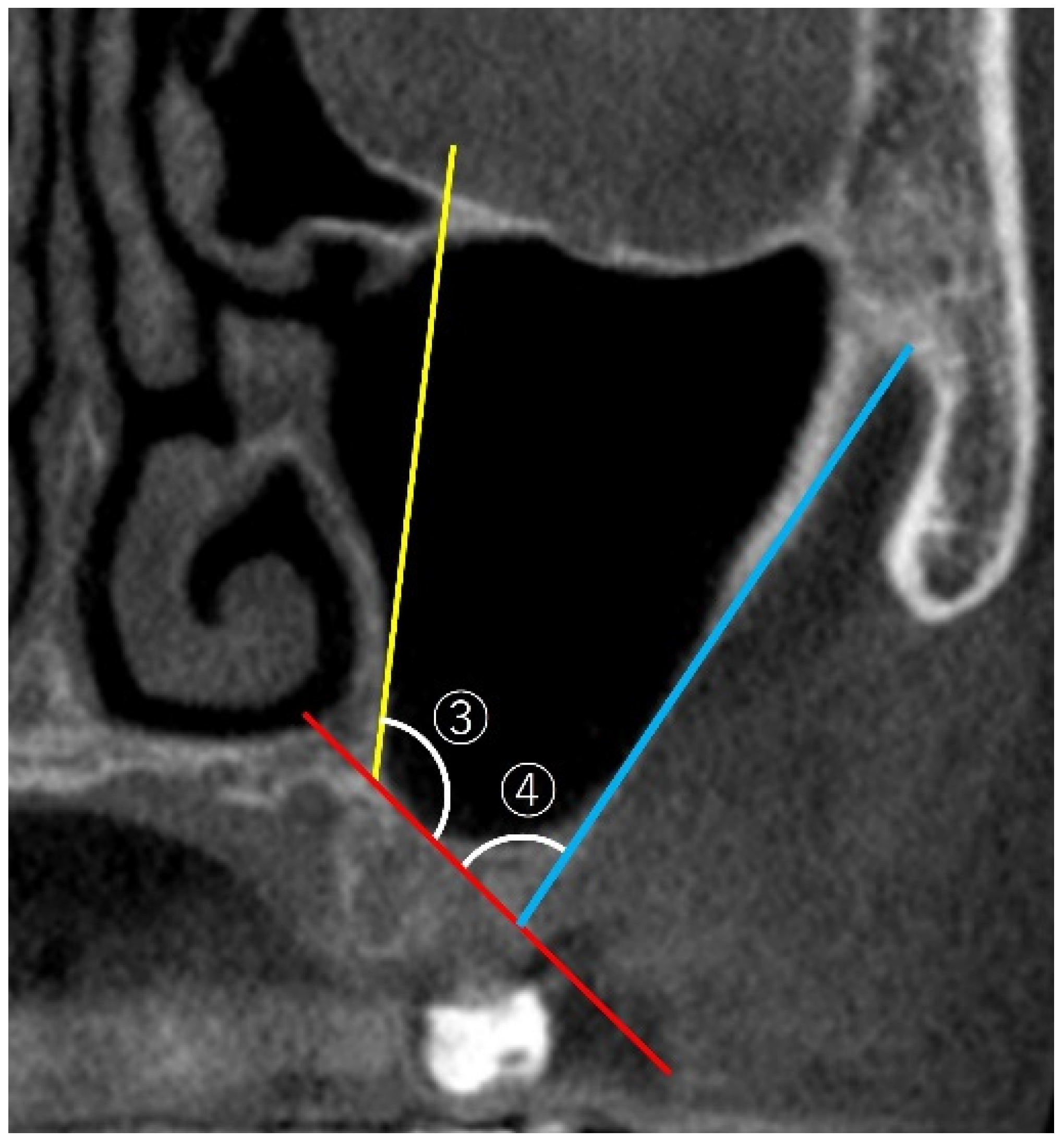 Bioengineering 12 00240 g002