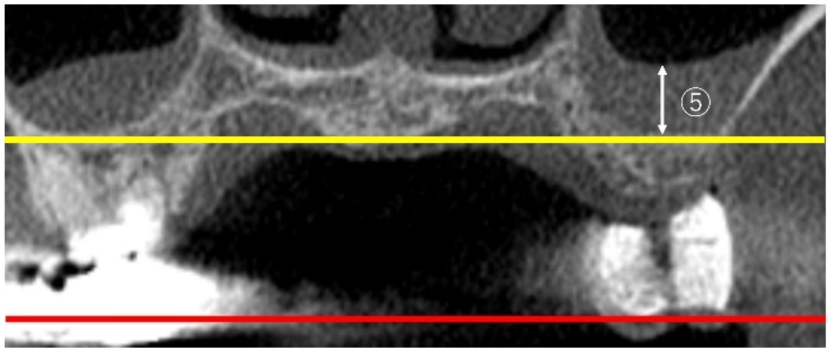 Bioengineering 12 00240 g003